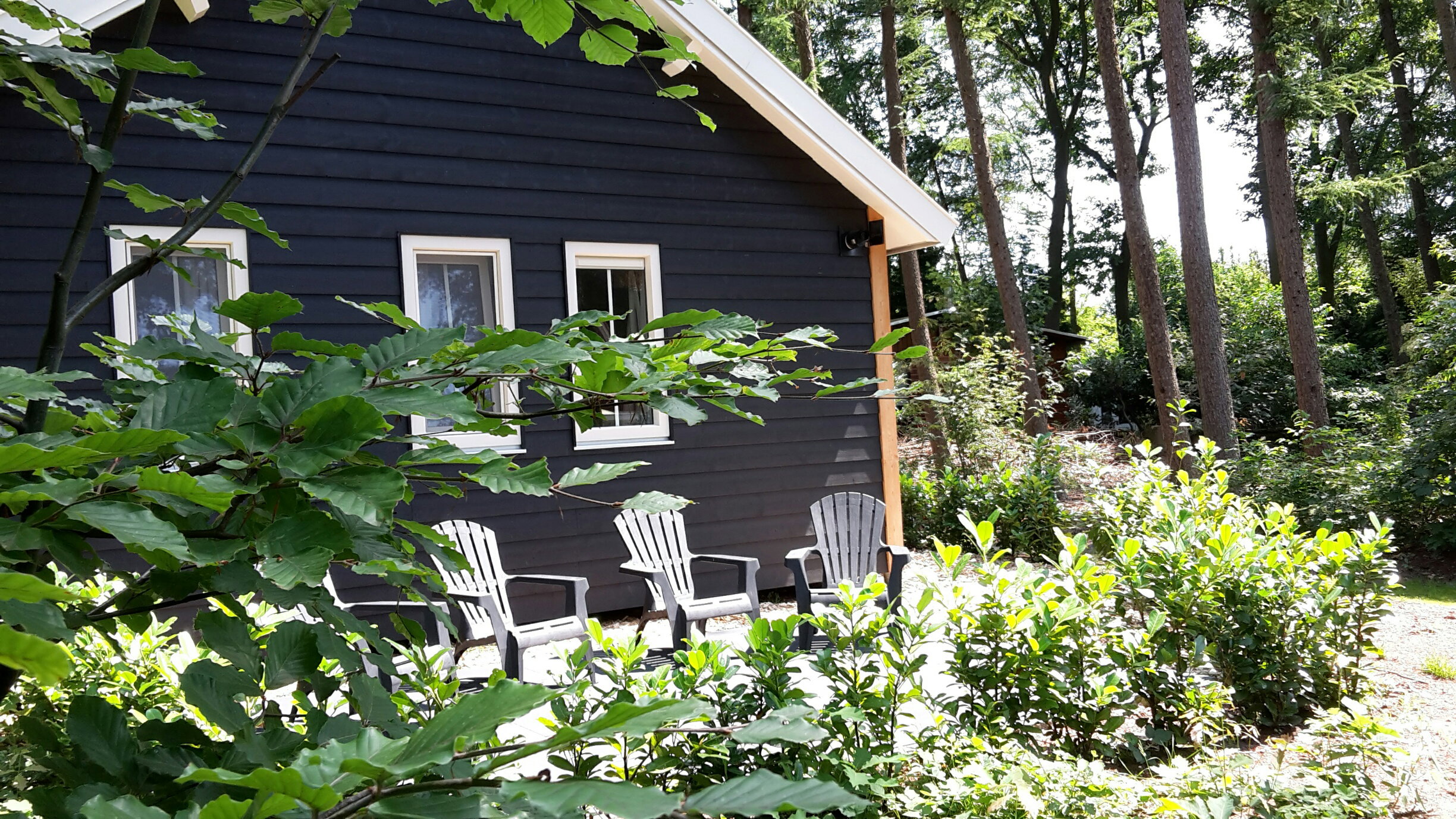 Nature house in Ruurlo