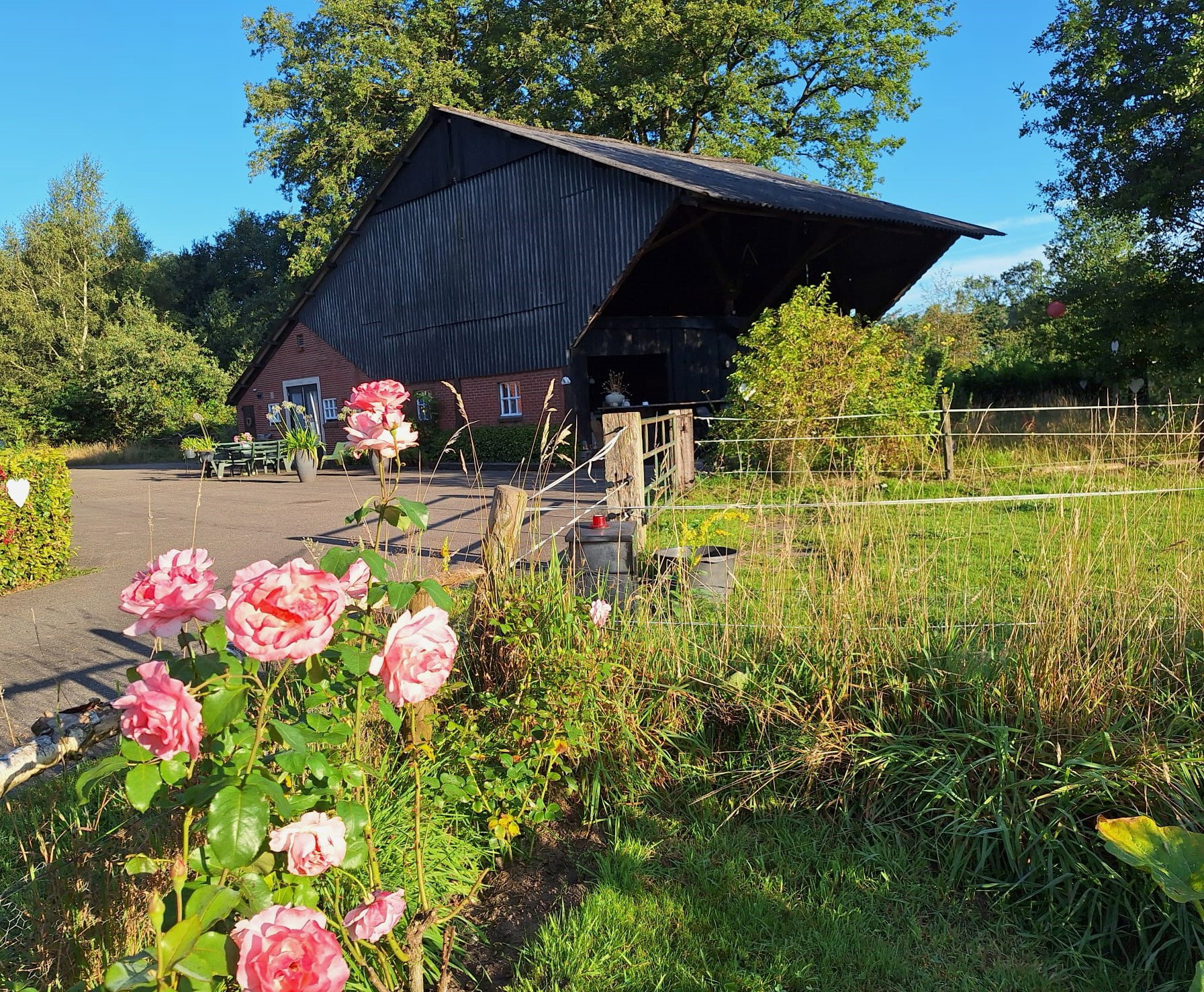 Casa nella natura a Hengevelde