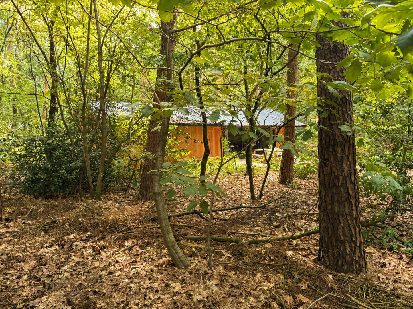 Natuurhuisje in Otterlo