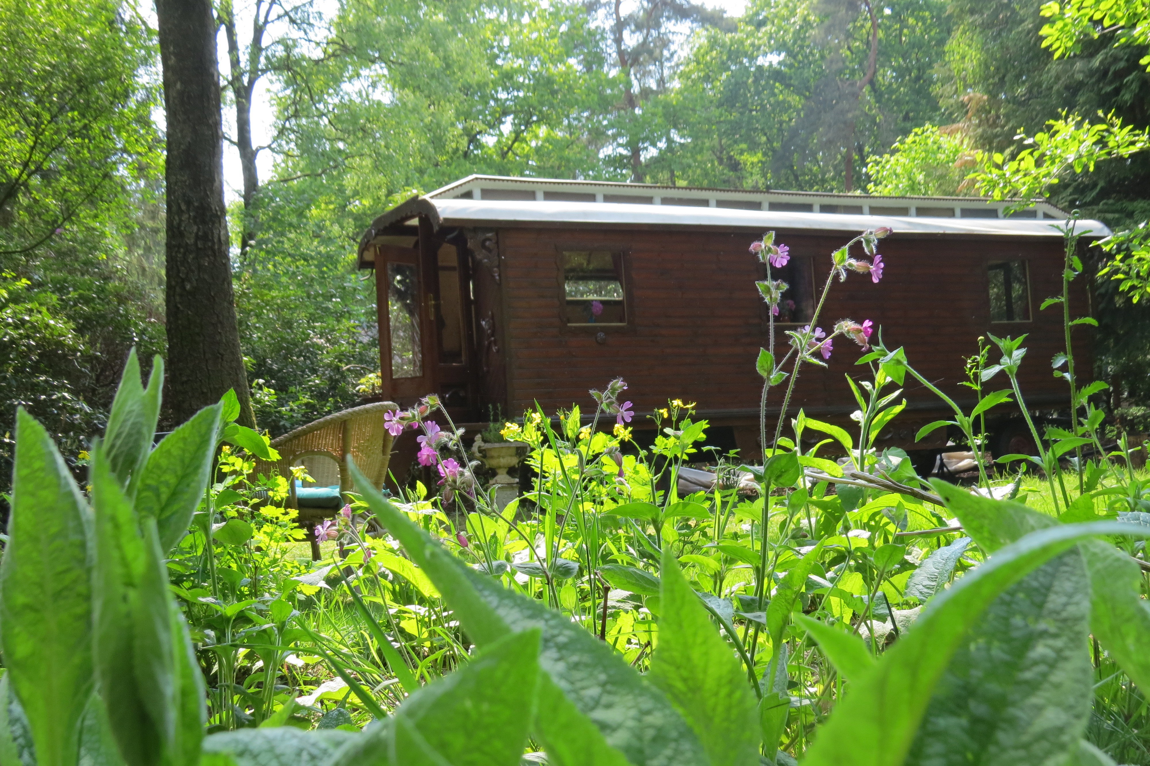 Maison nature à Vorden