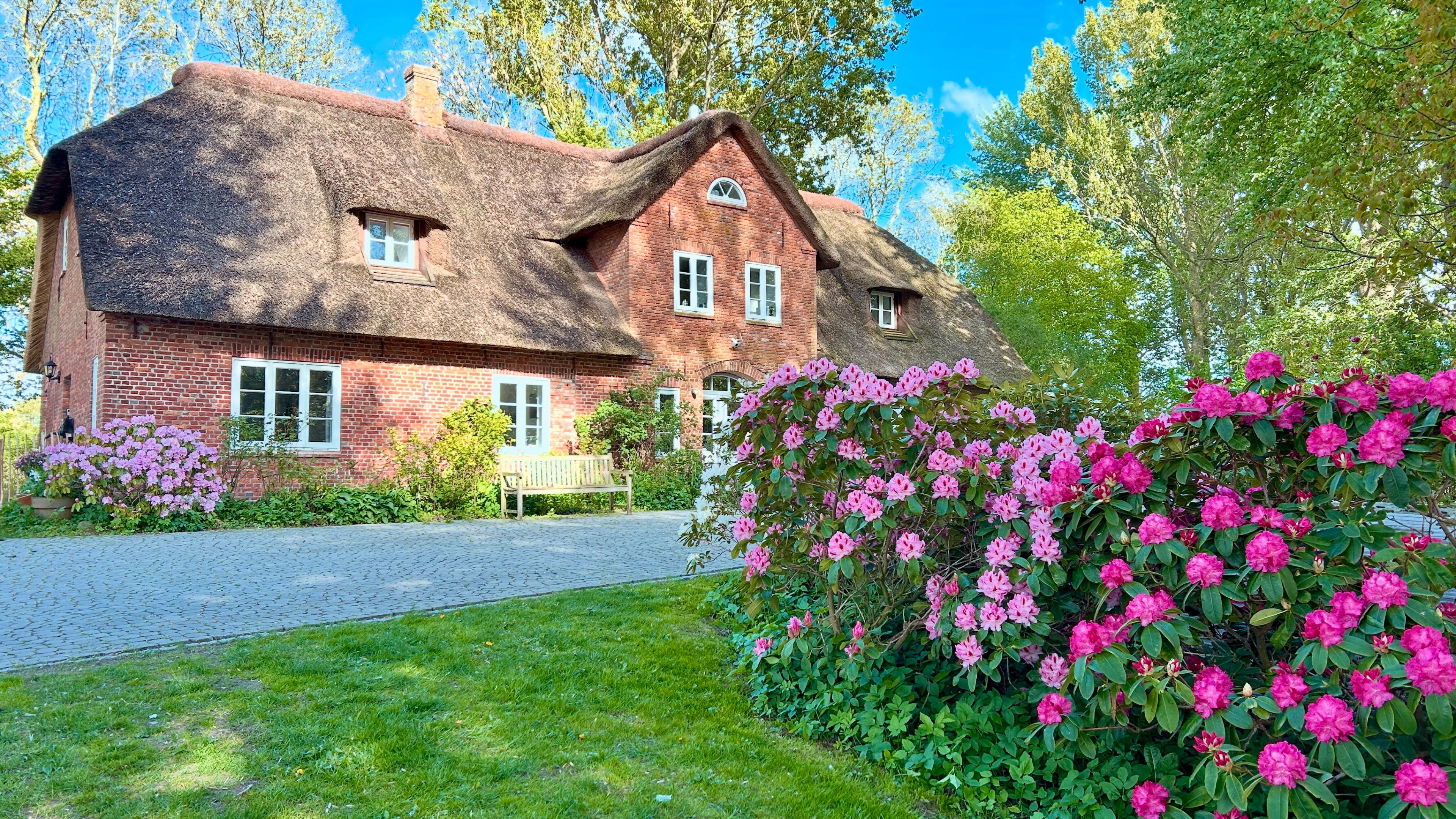 Casa nella natura a Oldenswort