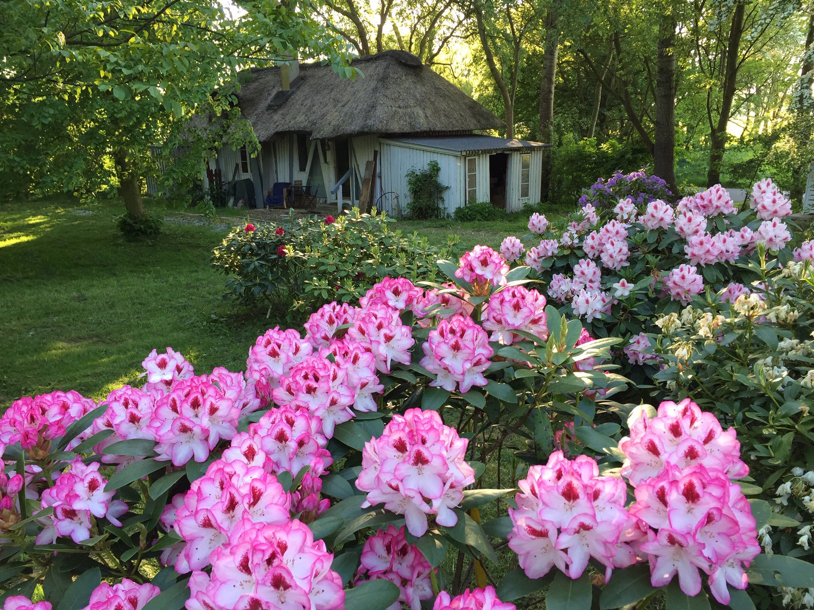 Natuurhuisje in Oldenswort
