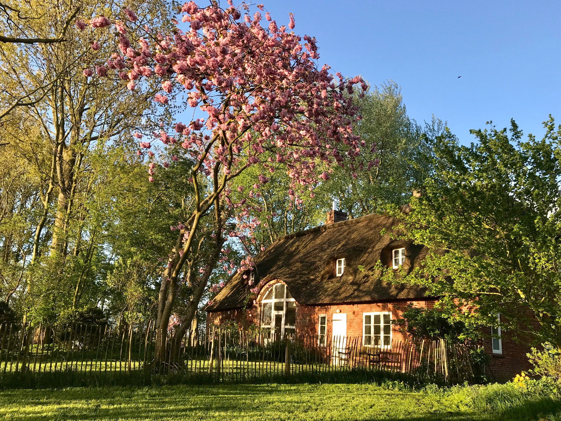 Natuurhuisje in Oldenswort