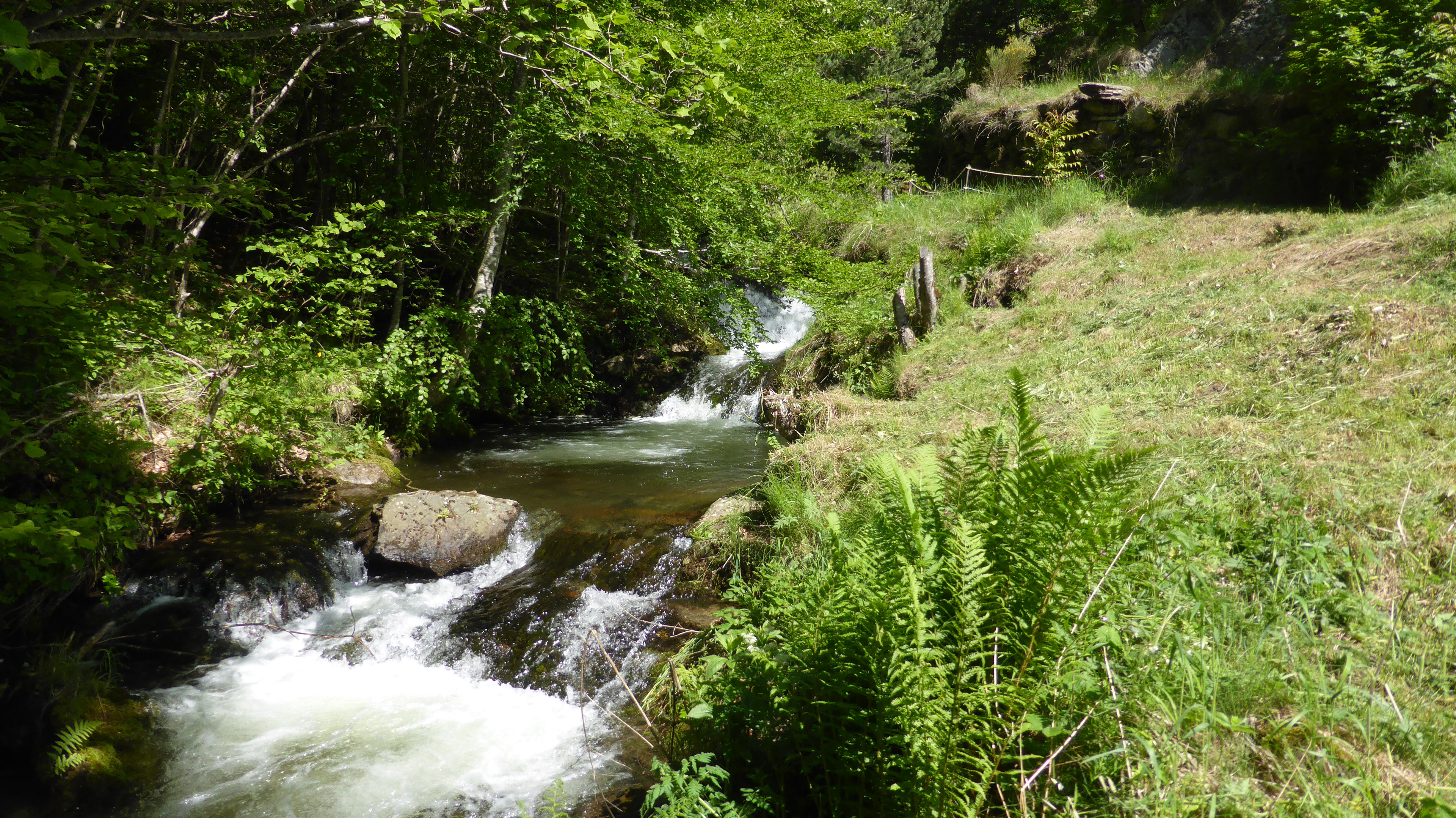 Natuurhuisje in Nohèdes