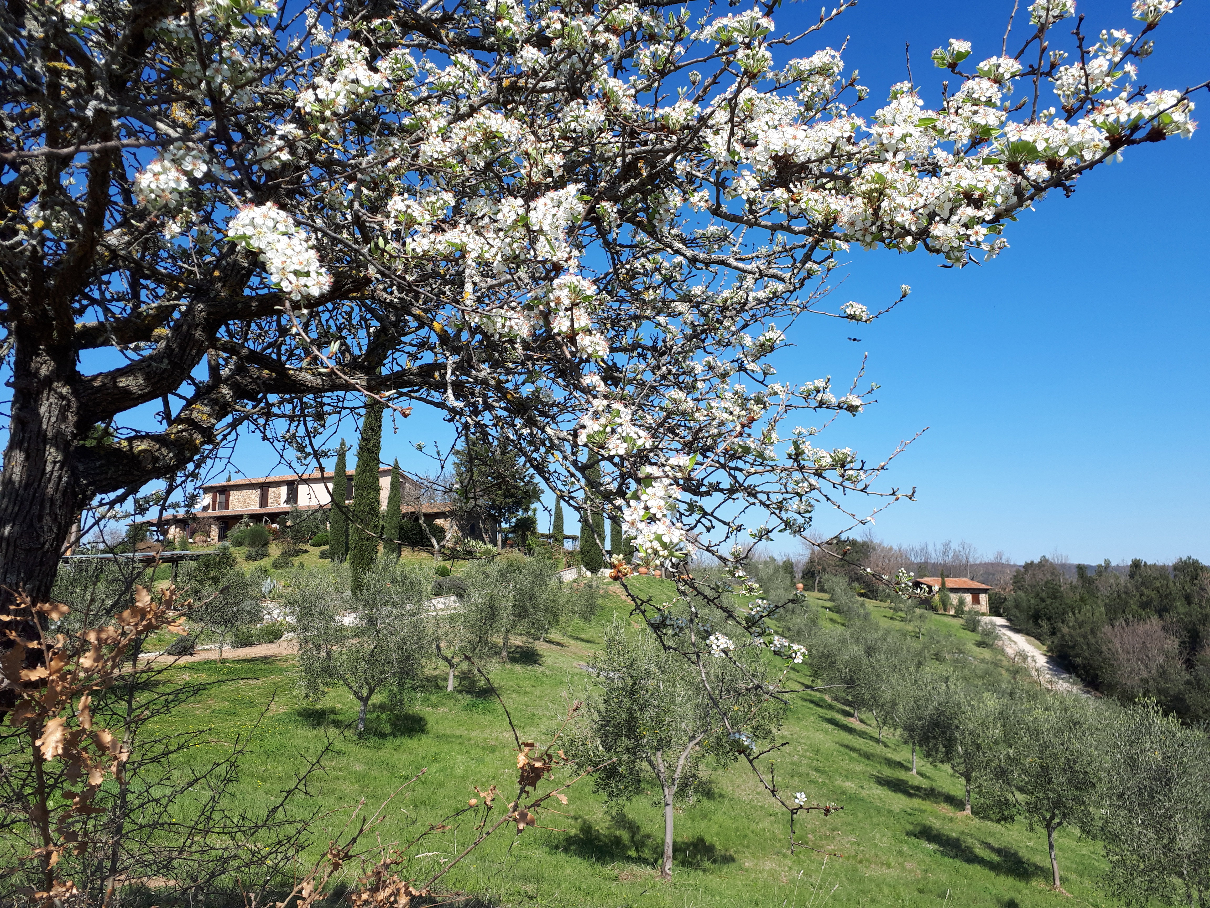 Casa nella natura a Massa Marittima
