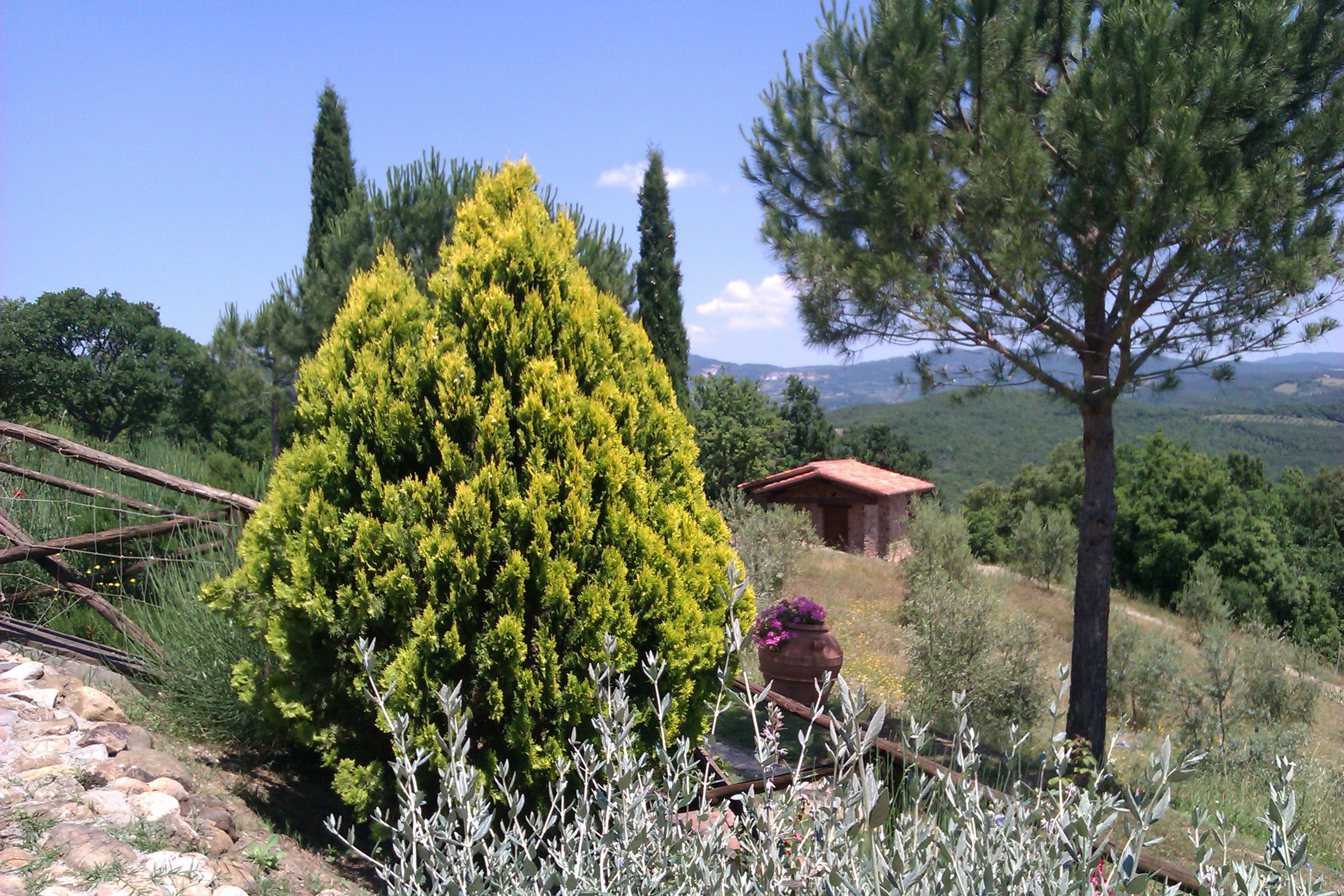 Casa nella natura a Massa Marittima