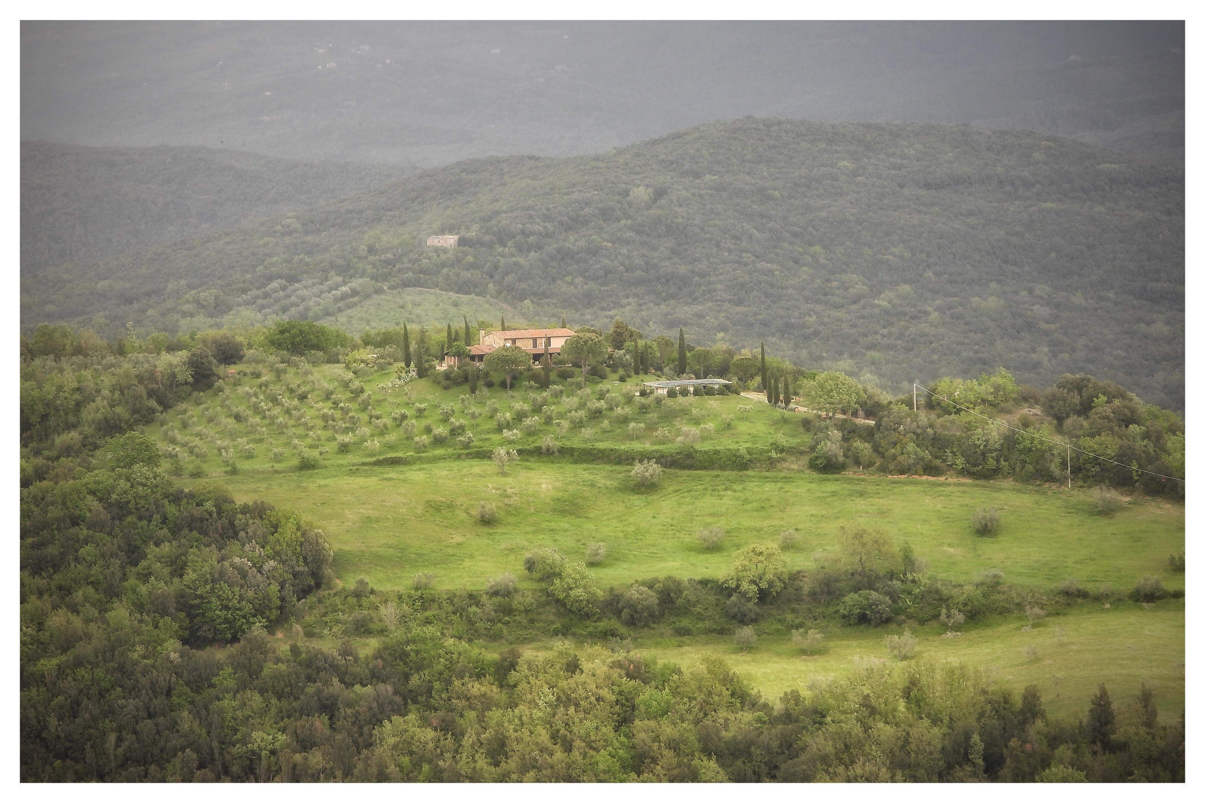 - image: 11