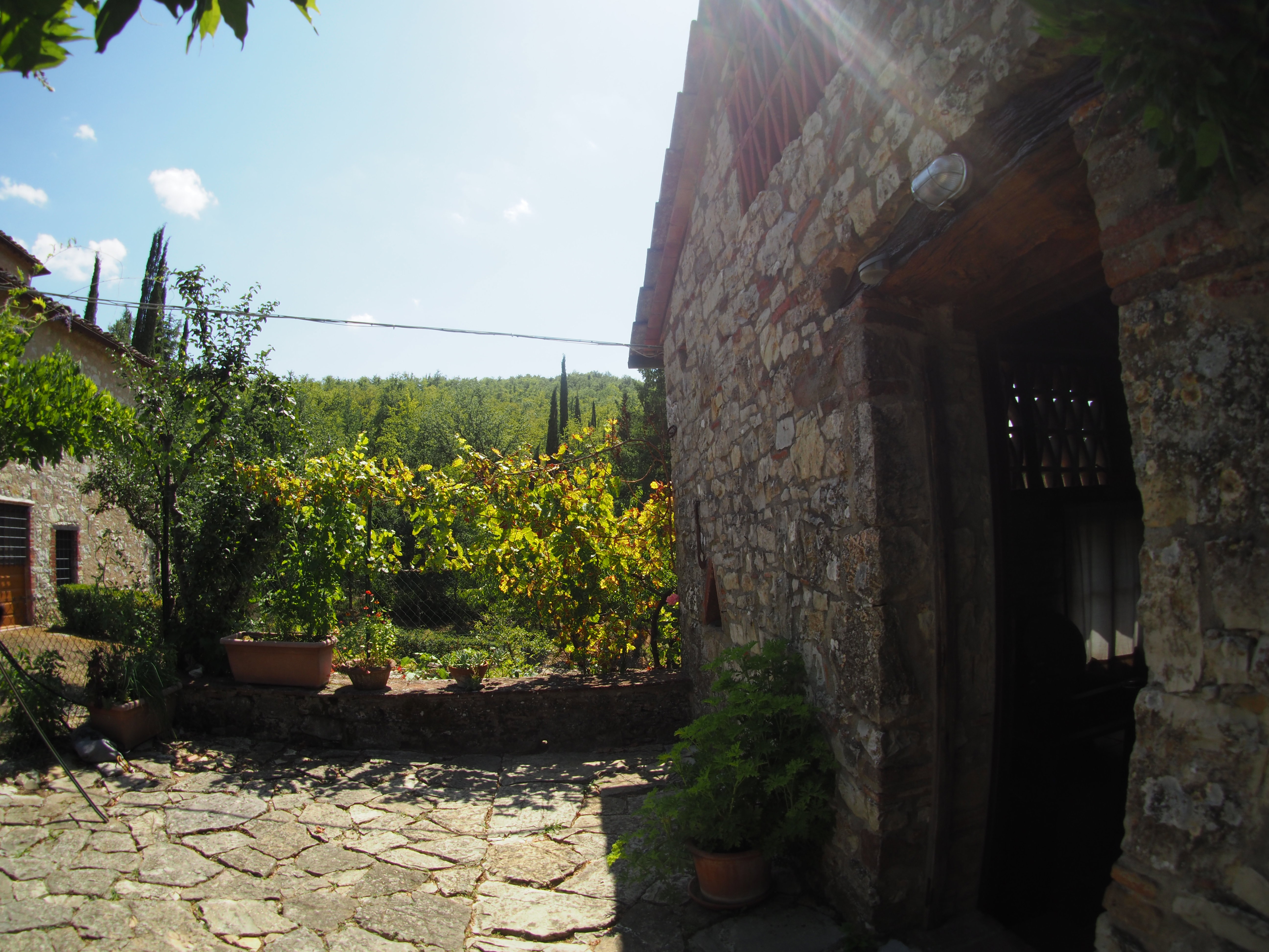 Natuurhuisje in Gaiole in Chianti (SI)