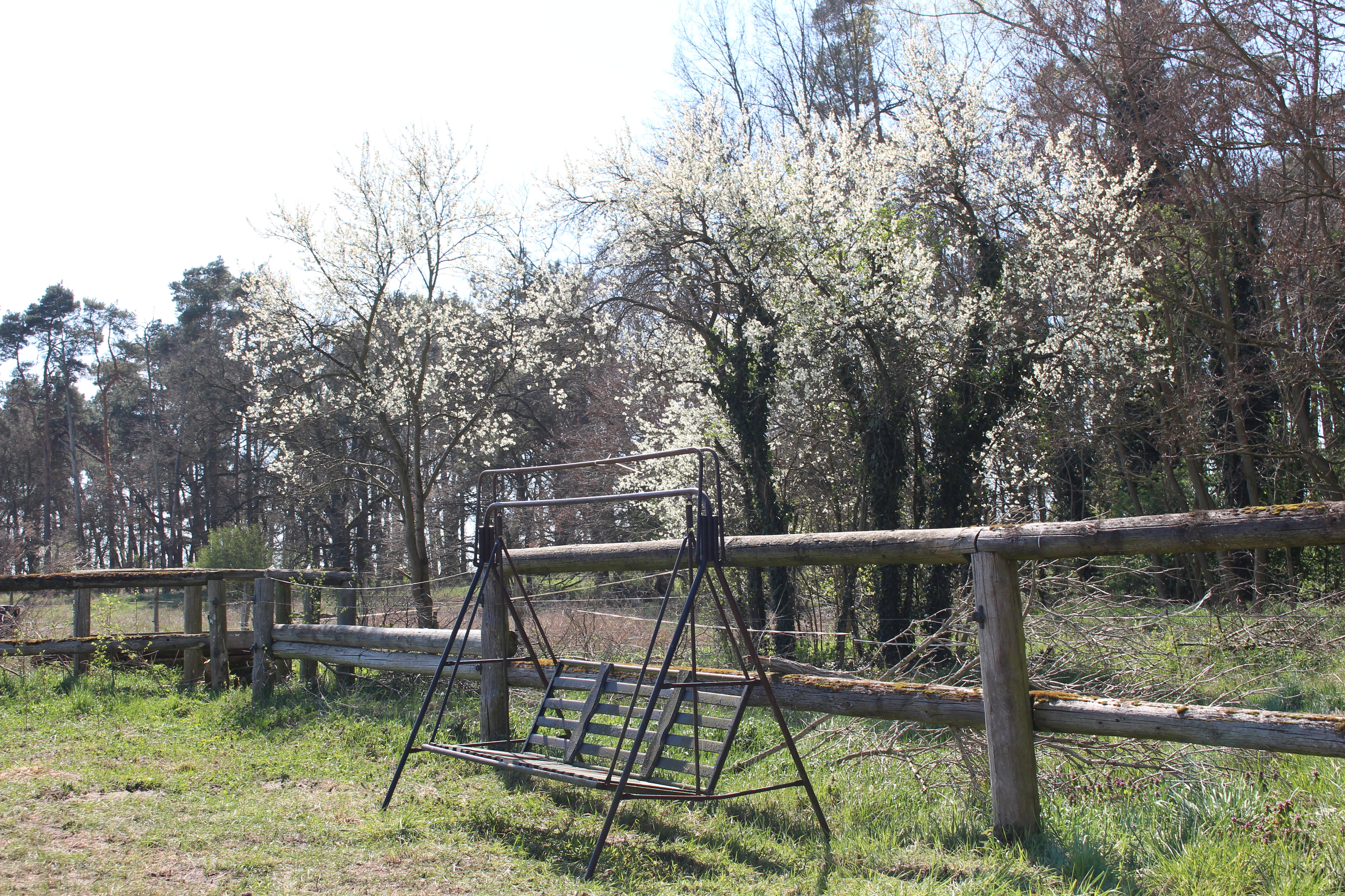 - image: 11