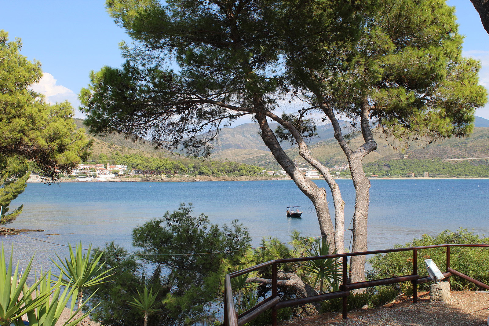 - image: 17