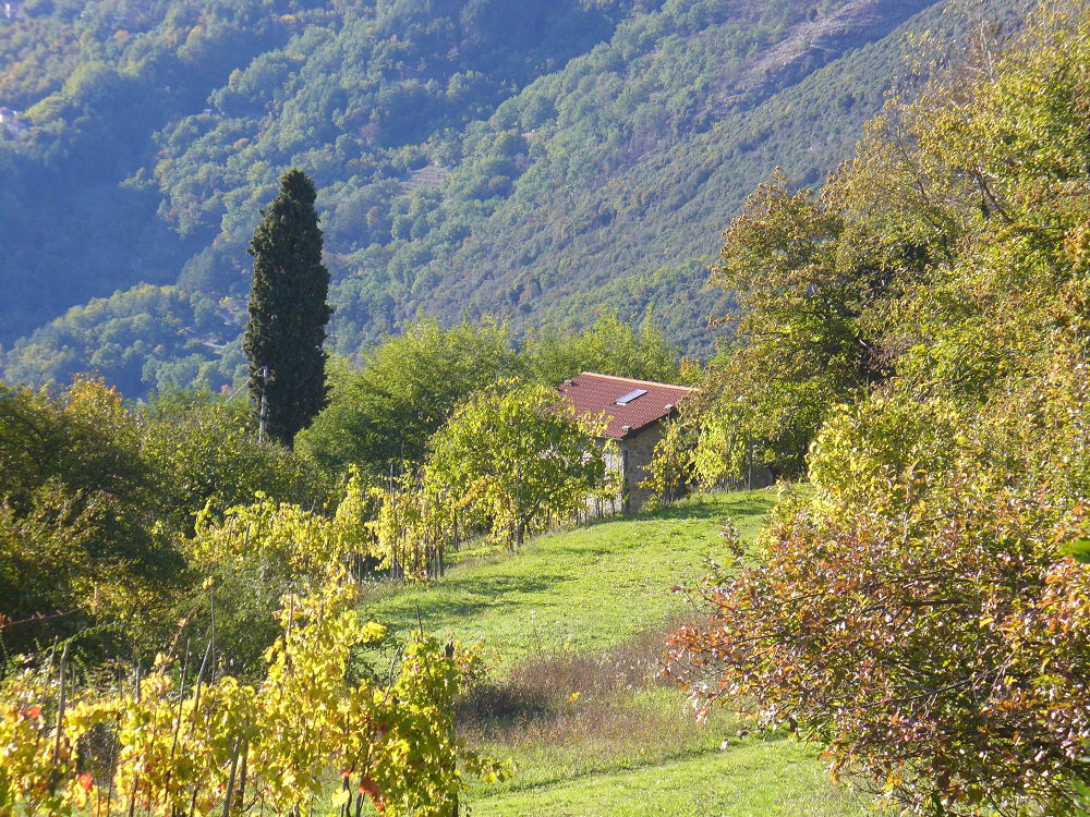 Casa nella natura a Boni Fanny