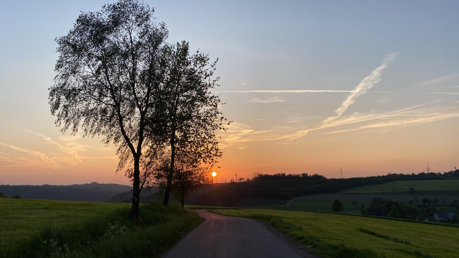 - image: 25
