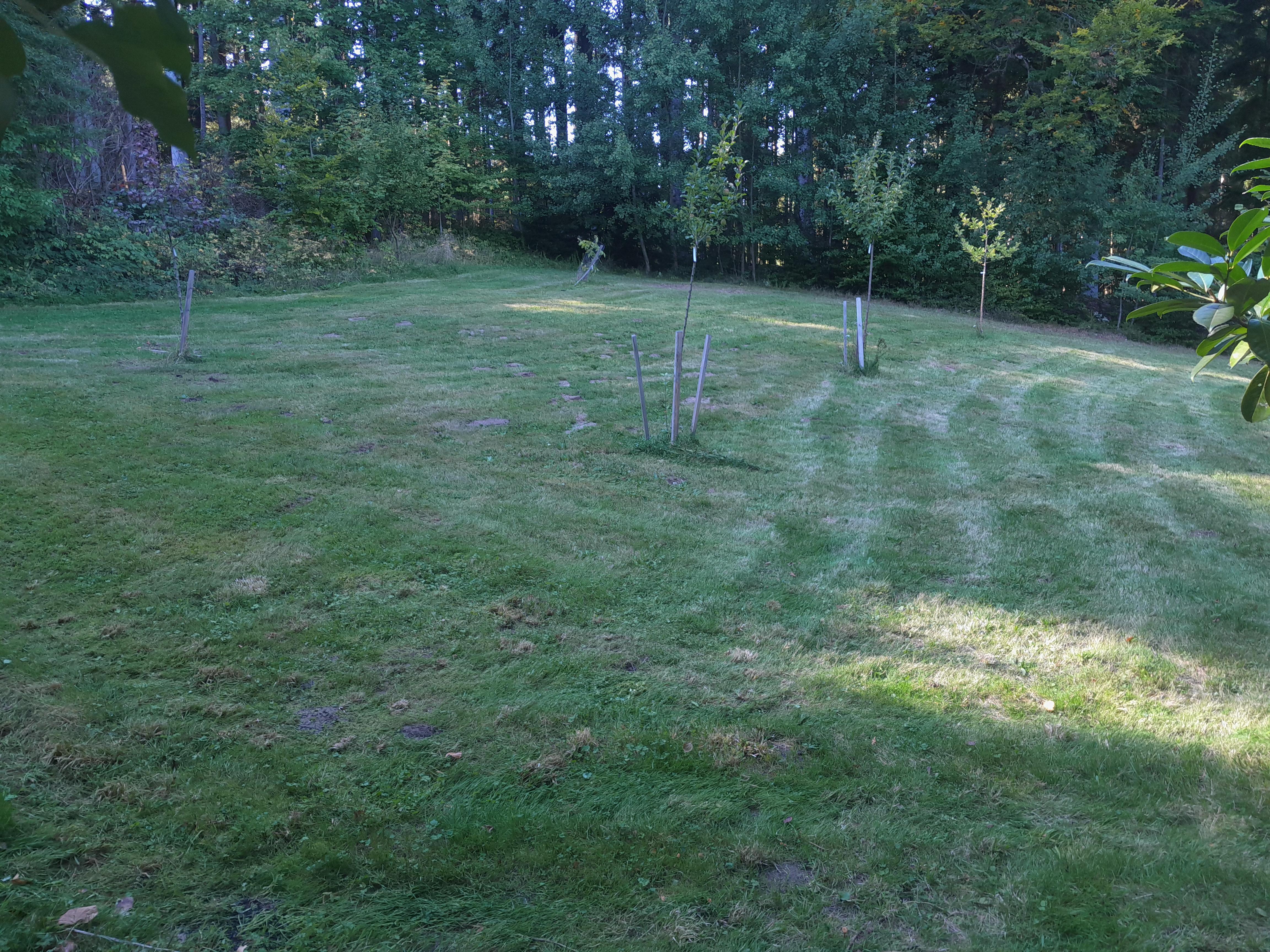 Natuurhuisje in Kollnburg