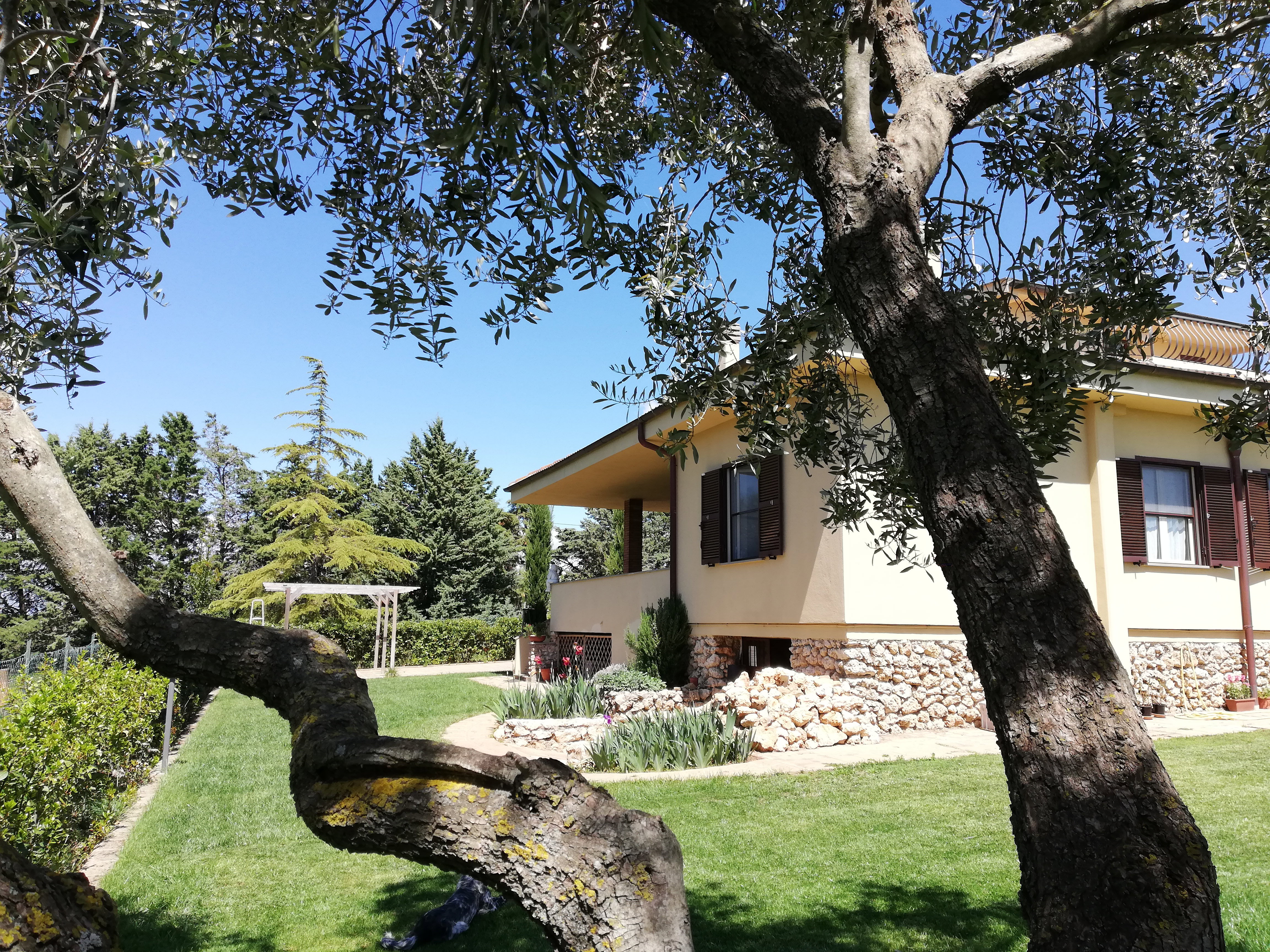Casa nella natura a Tuscania