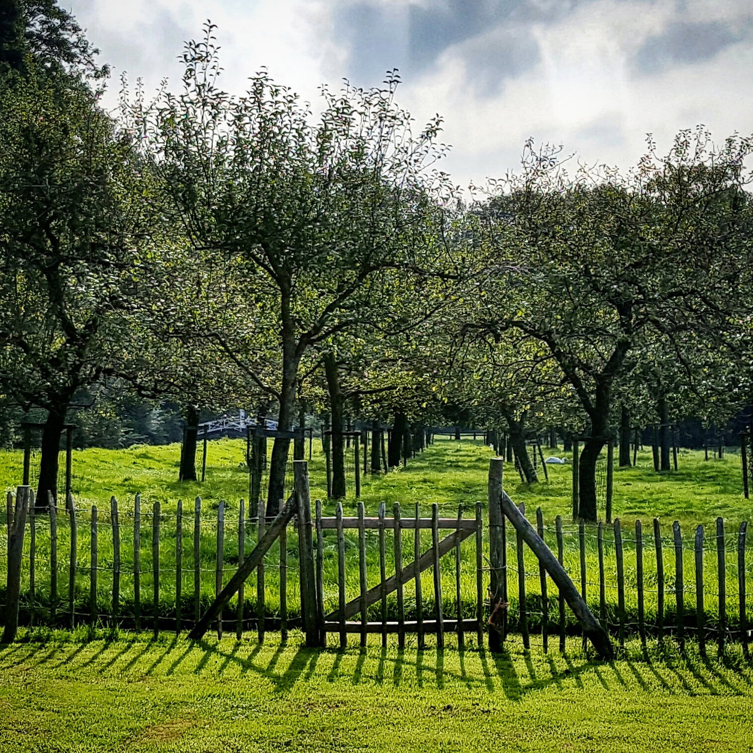 Maison nature à Linschoten