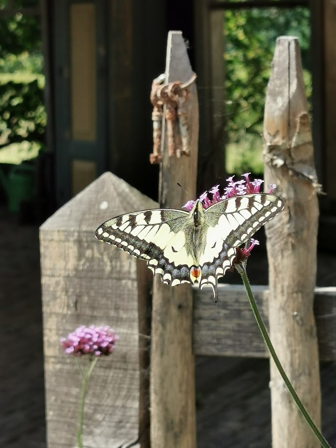 Maison nature à Linschoten