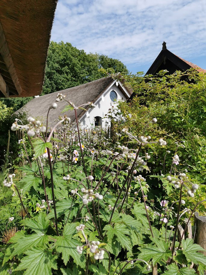 Maison nature à Linschoten