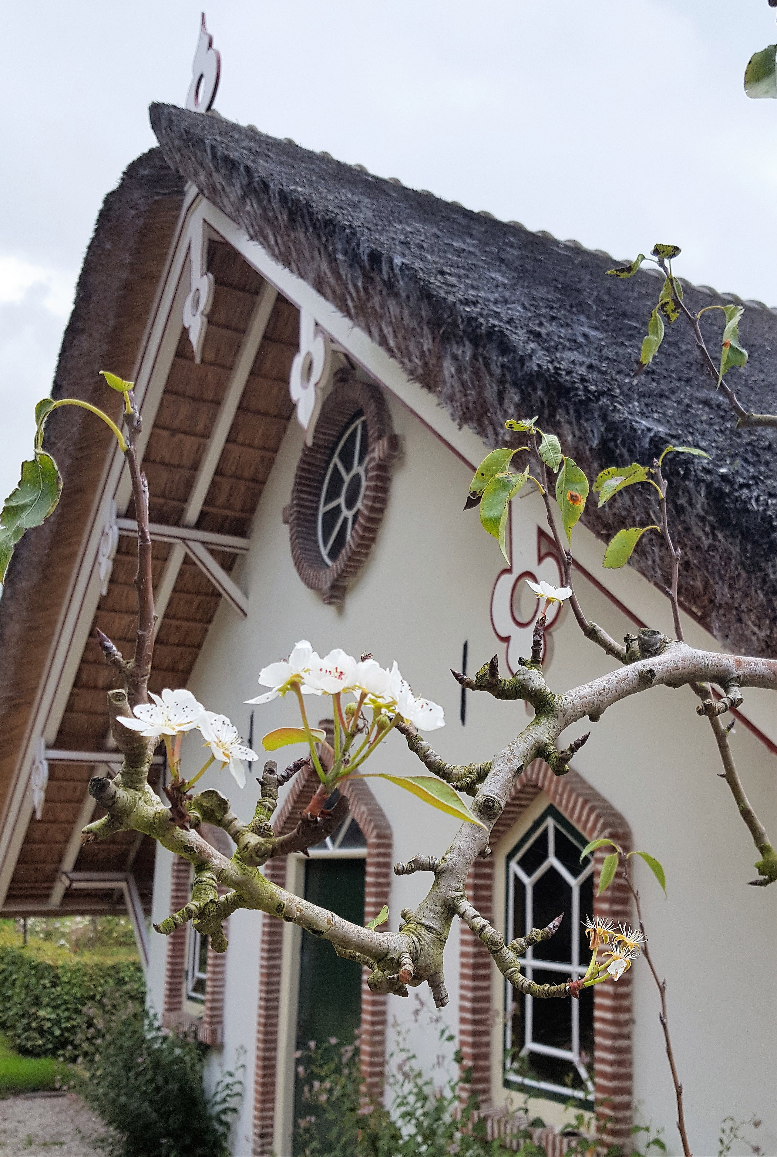 Maison nature à Linschoten
