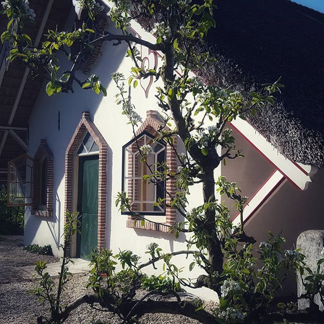 Maison nature à Linschoten