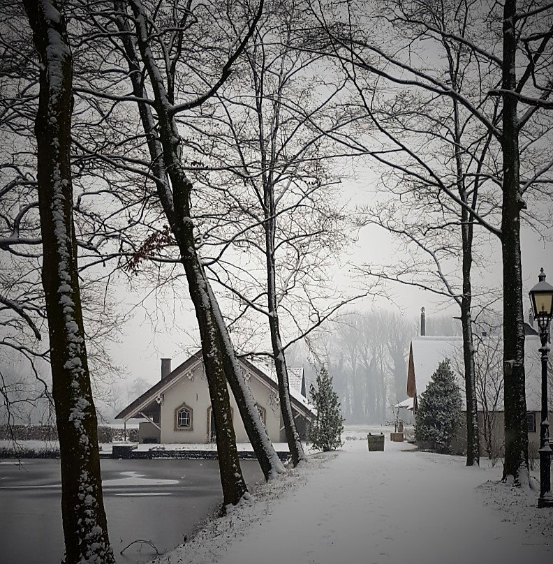 - image: 11