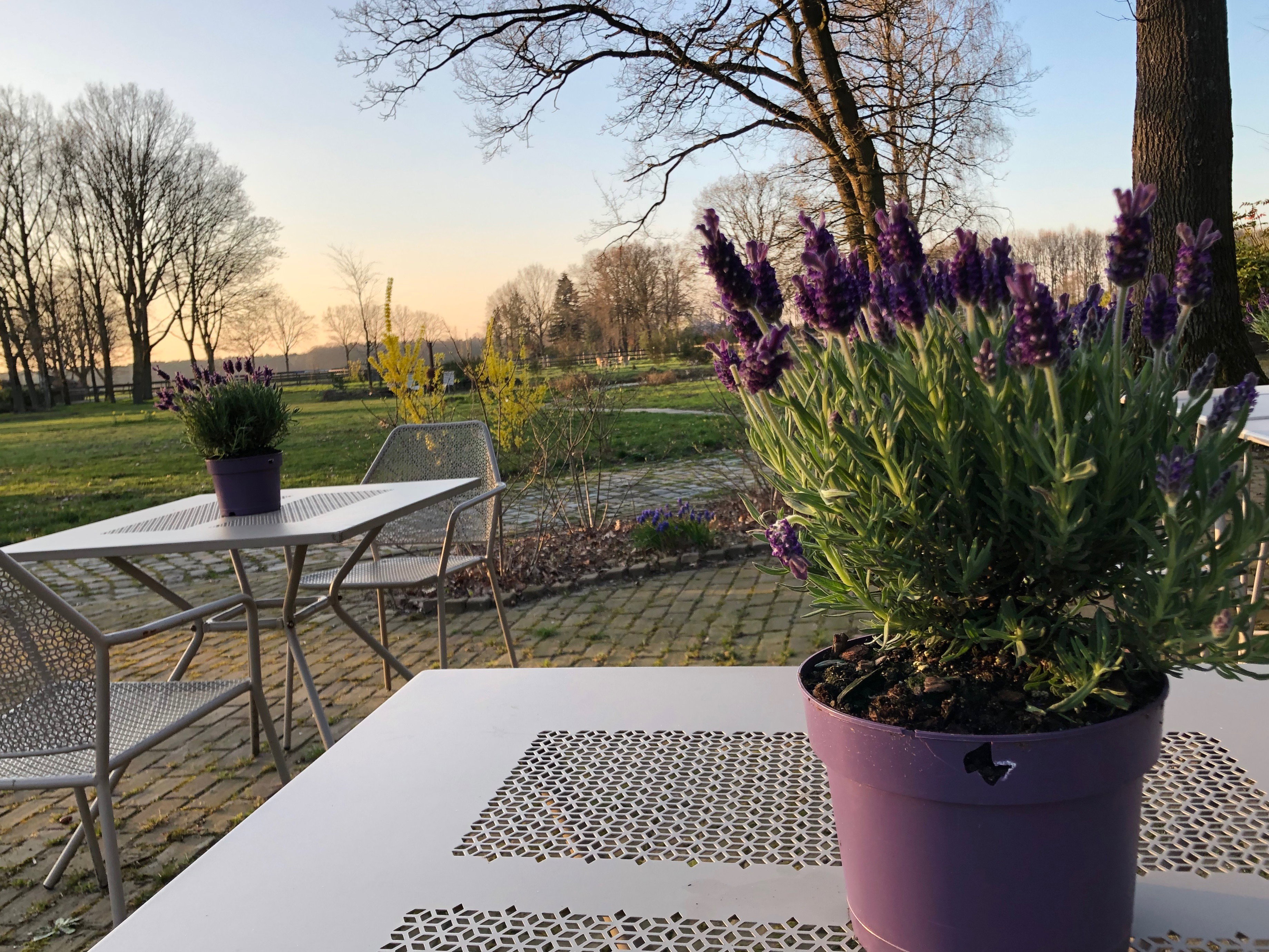 Naturhäuschen in Eersel