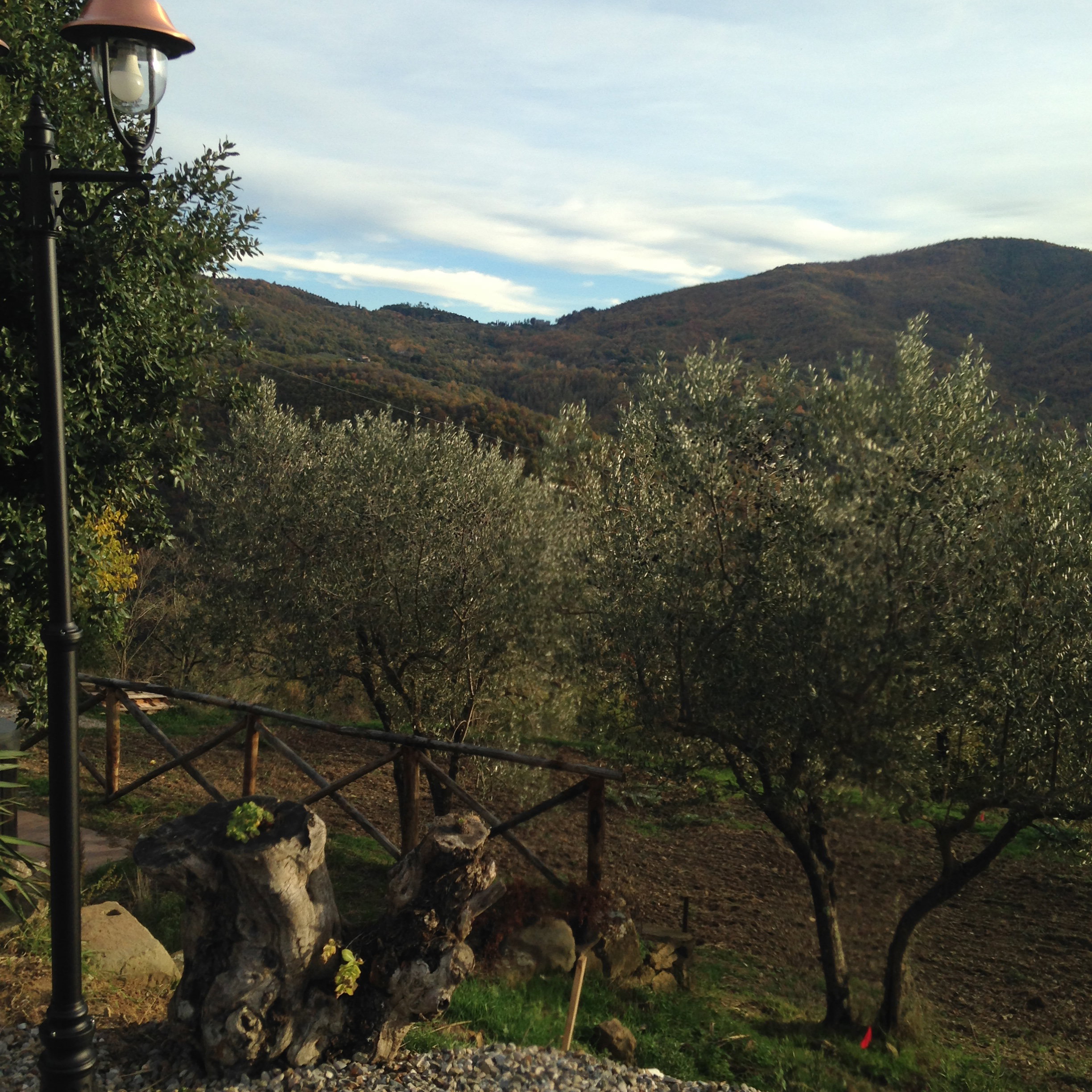 Natuurhuisje in Santa Maria alla Rassinata