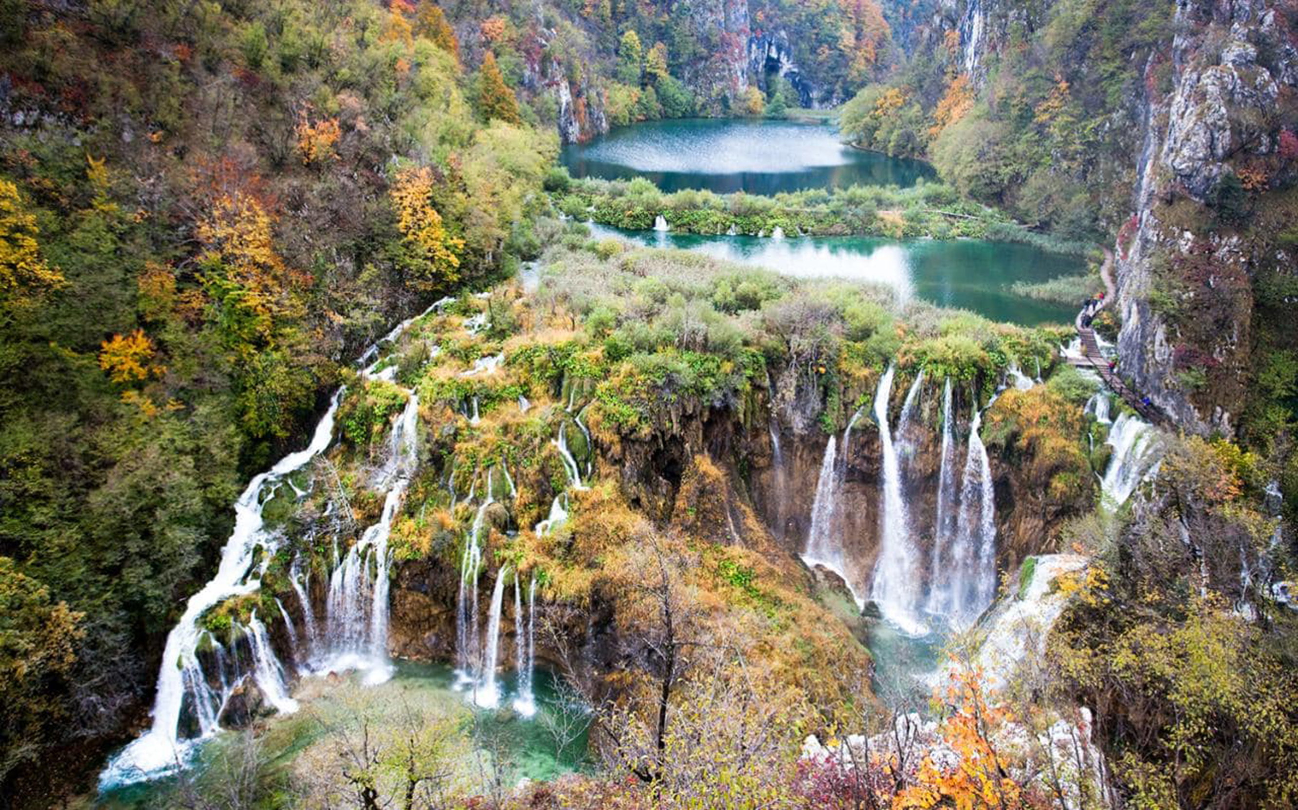 - image: 62