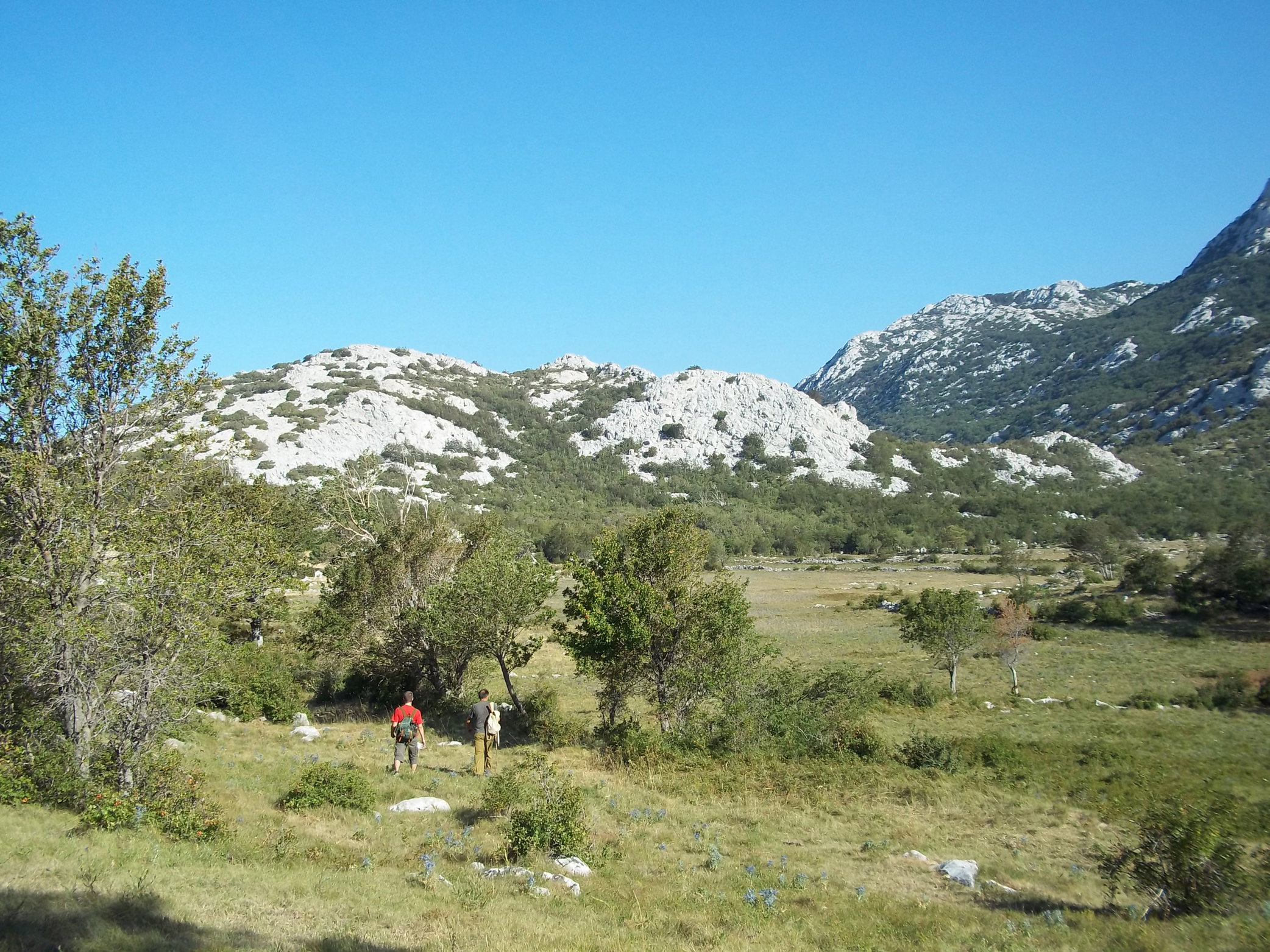 - image: 58