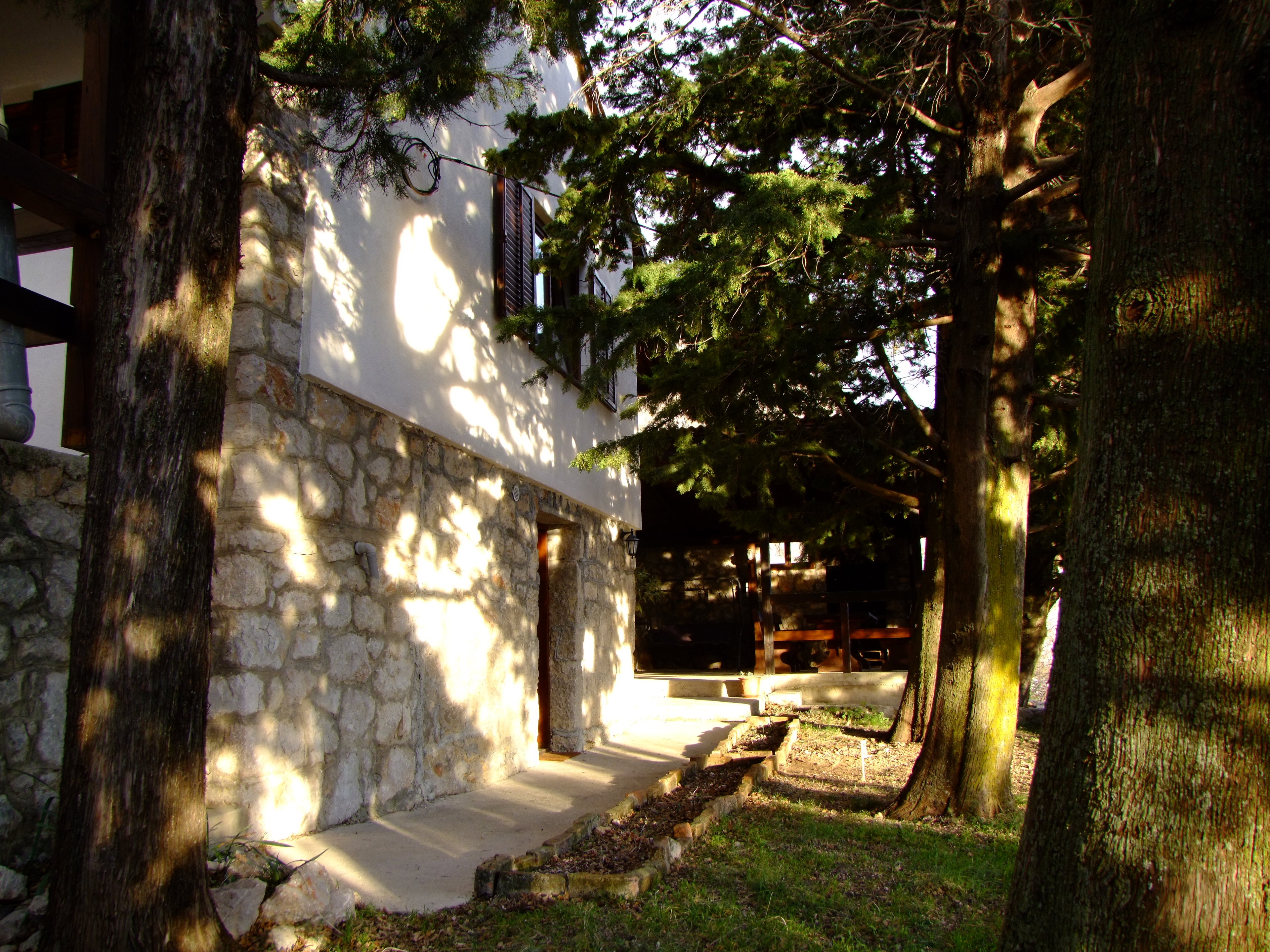 - image: 19