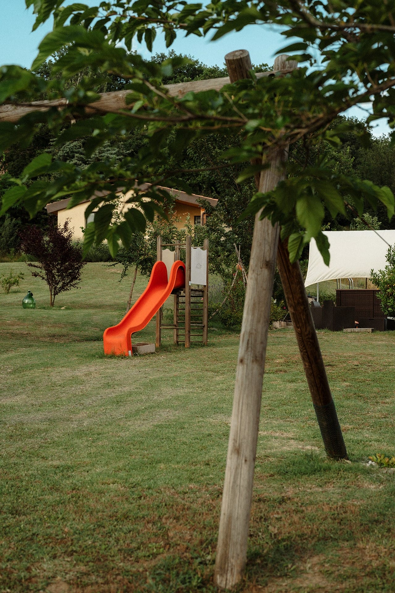 - image: 23