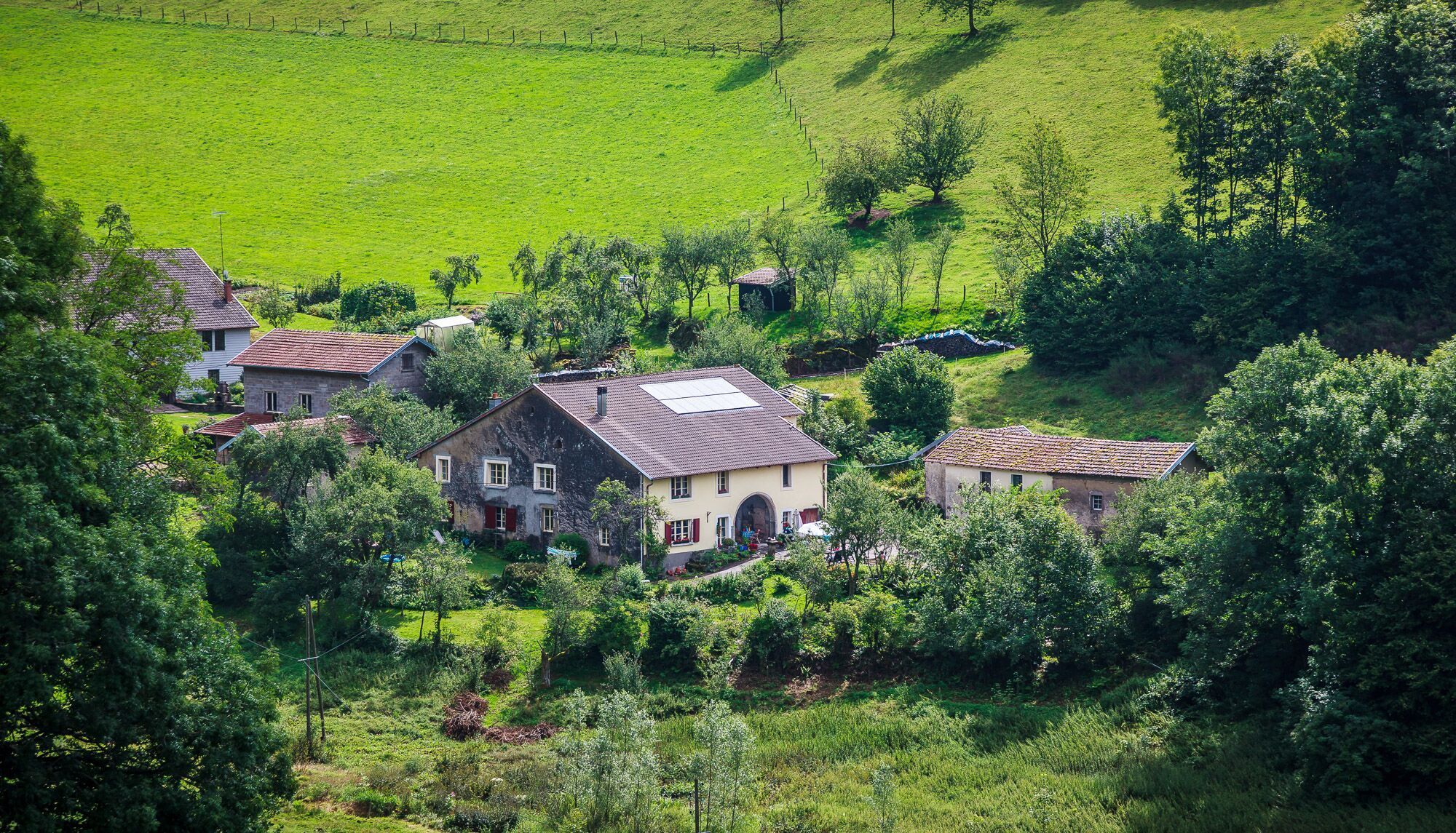- image: 11