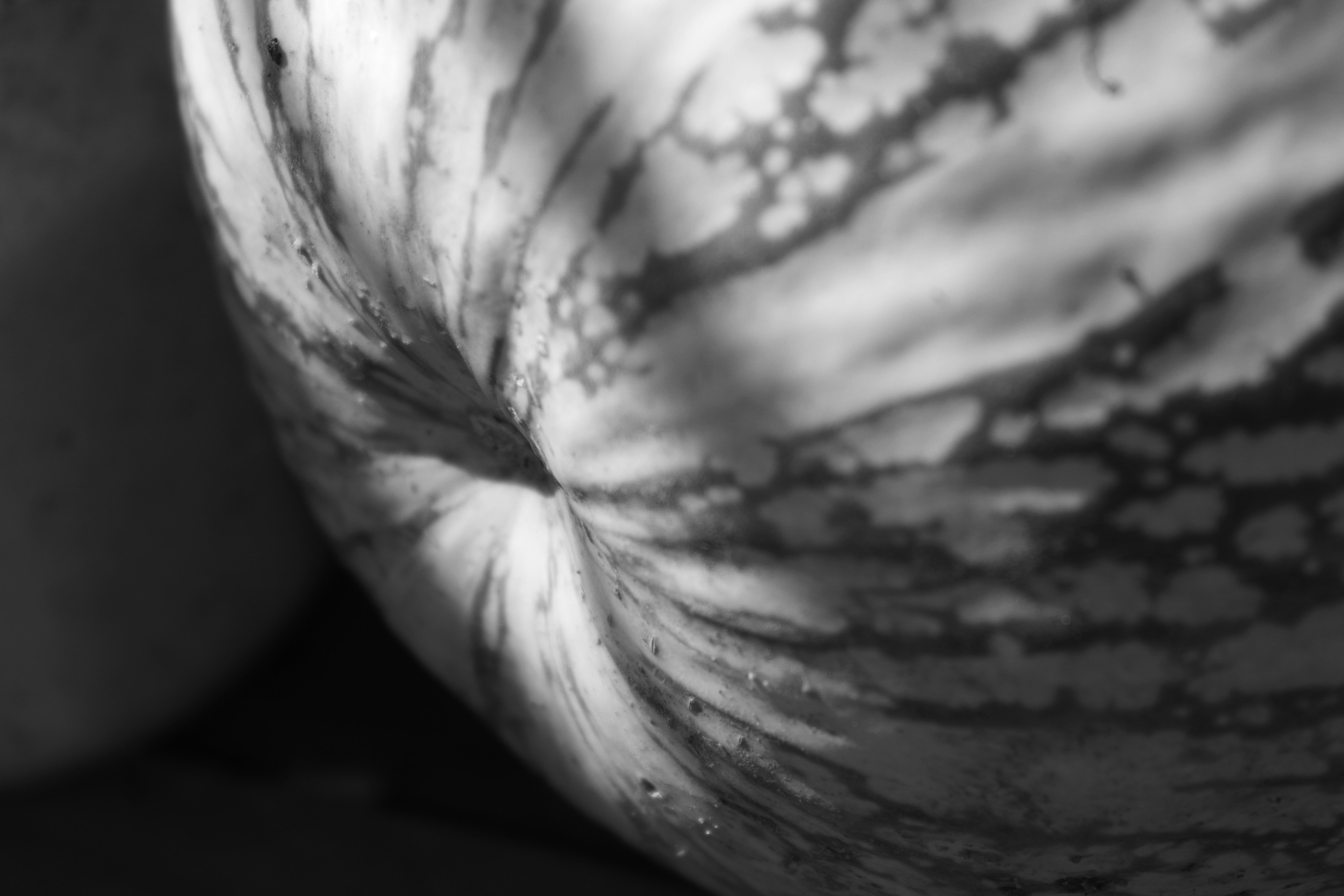 - image: 48