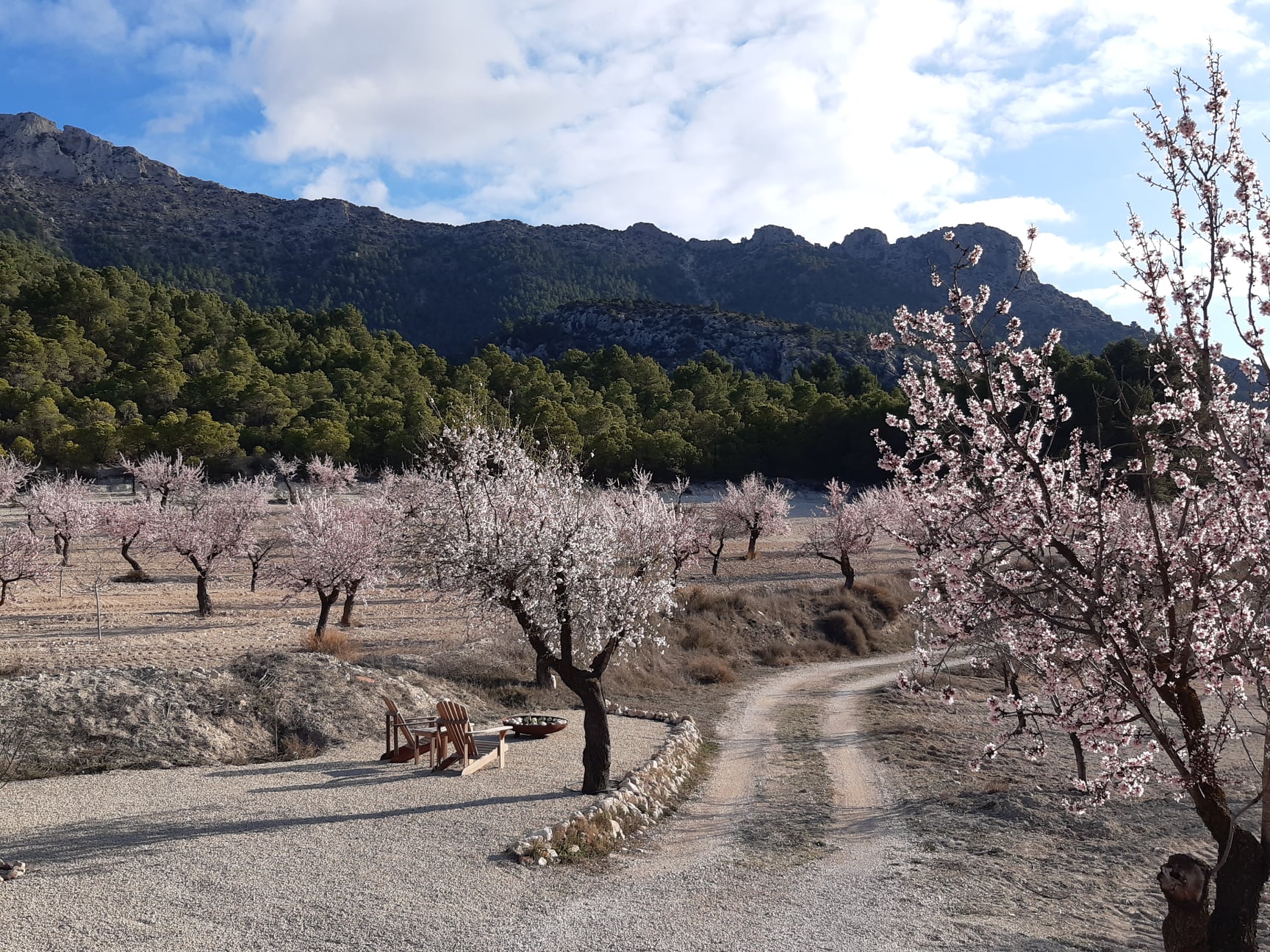 - image: 33