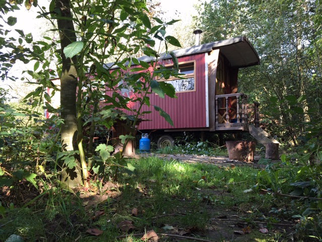 Natuurhuisje in Wilp