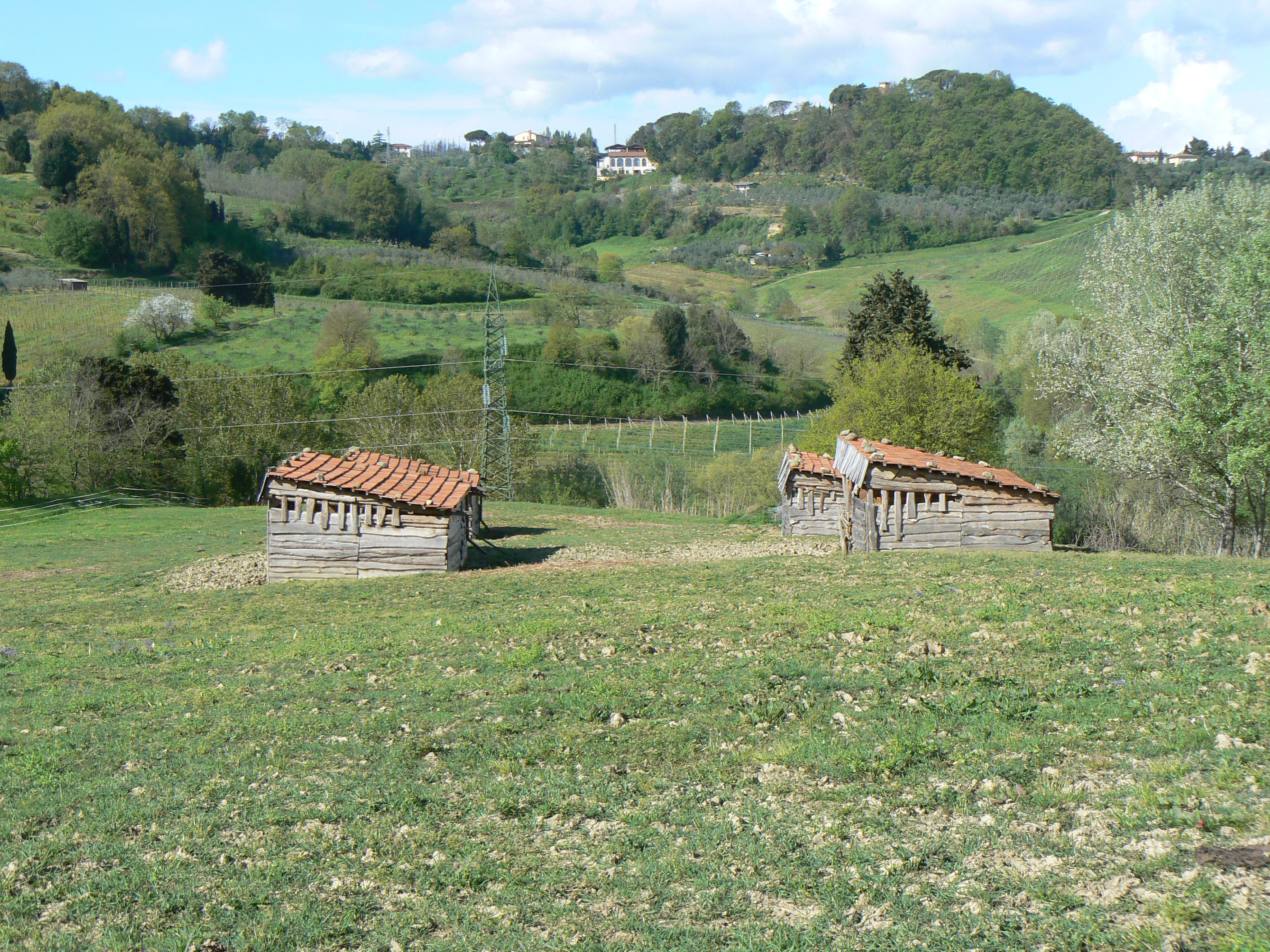 - image: 12
