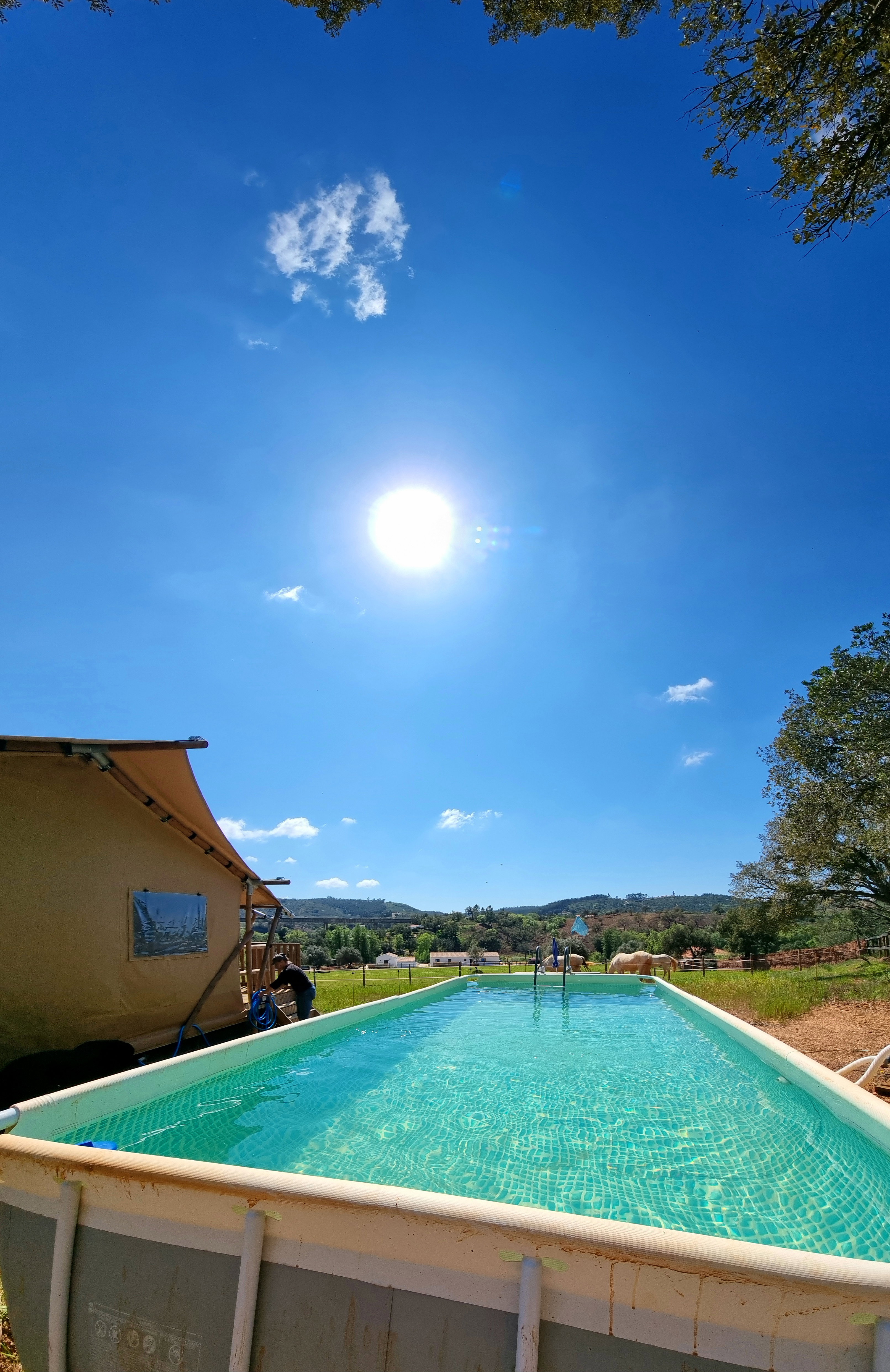 Casa nella natura a Casa nova da Cruz