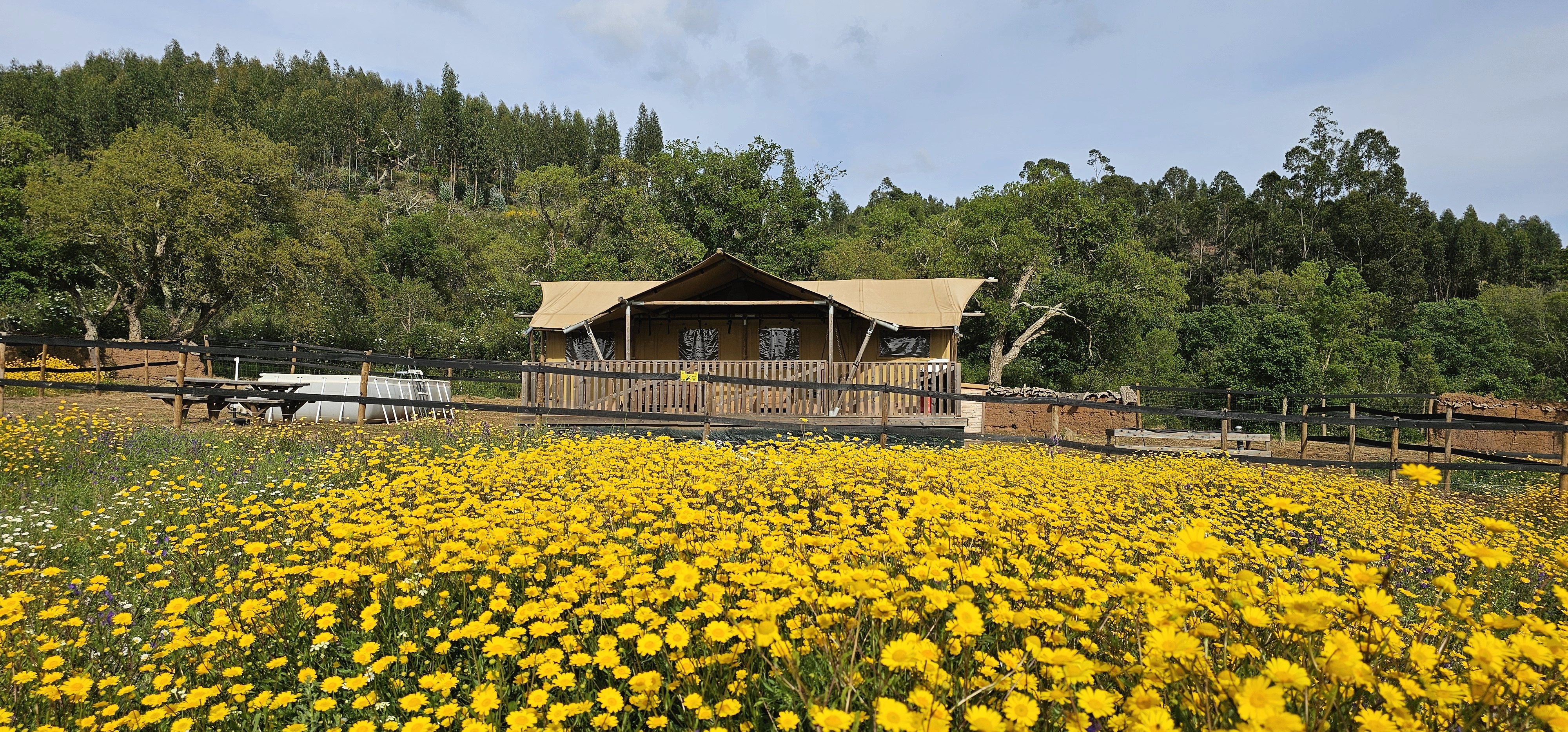 Casa nella natura a Casa nova da Cruz
