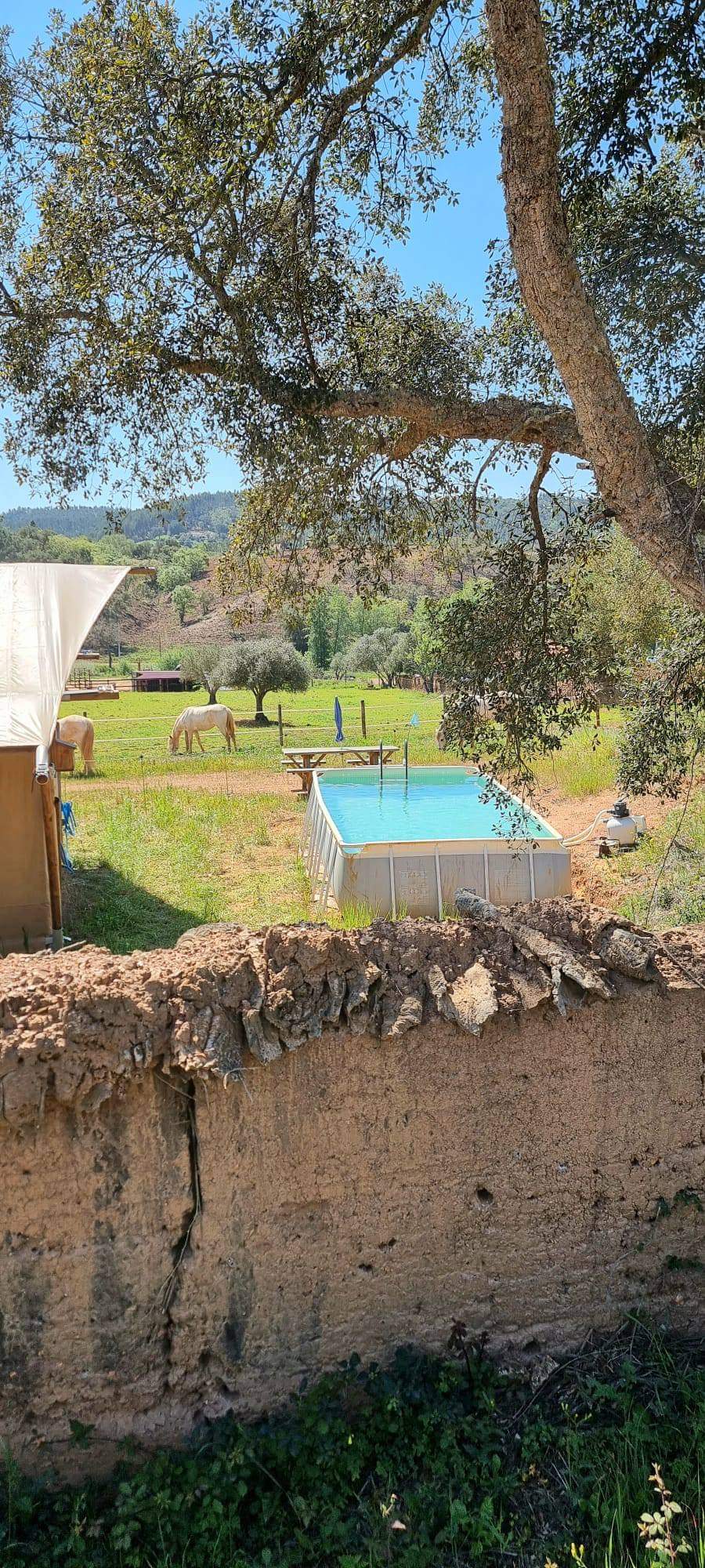 Casa nella natura a Casa nova da Cruz