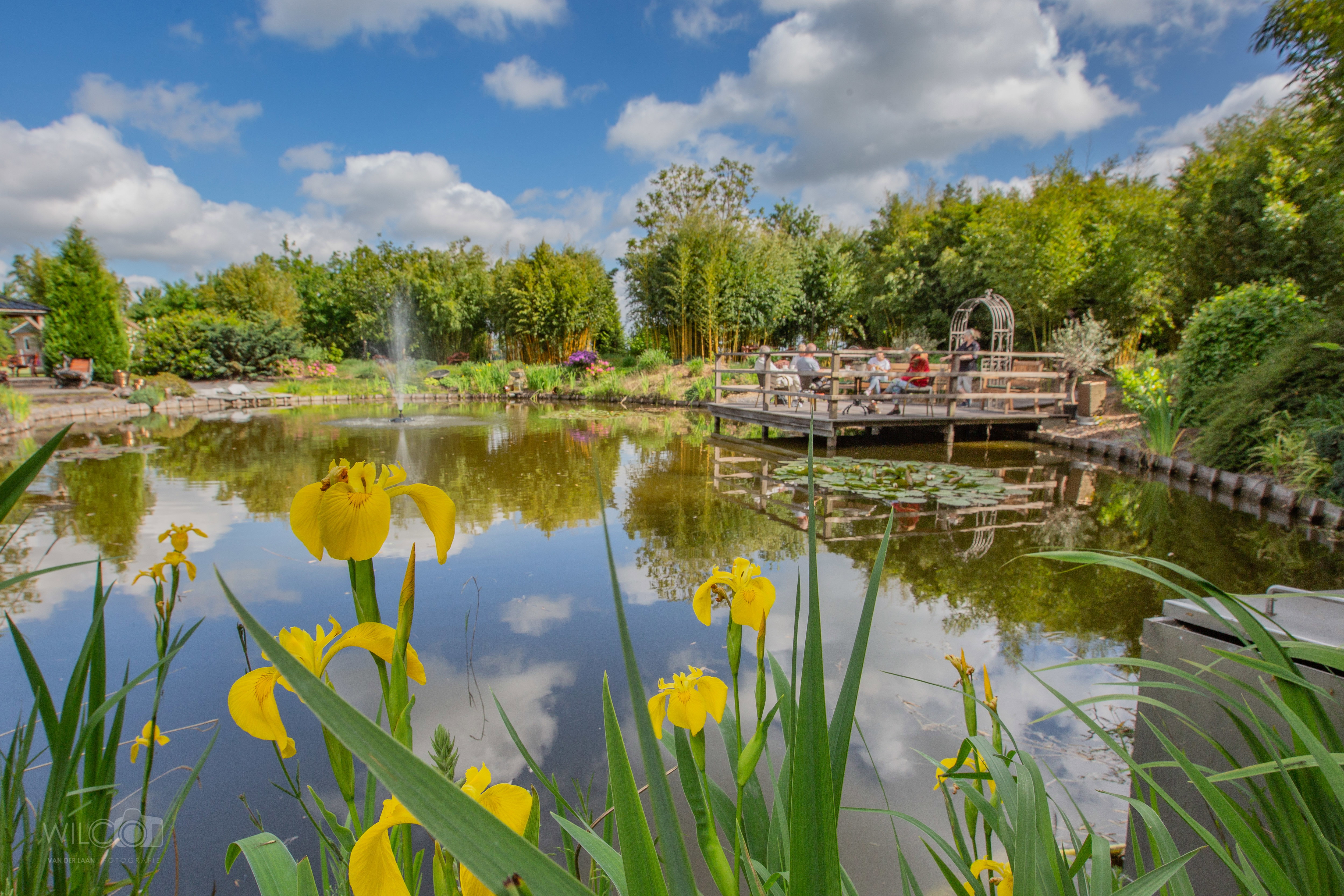 Natuurhuisje in kielwindeweer