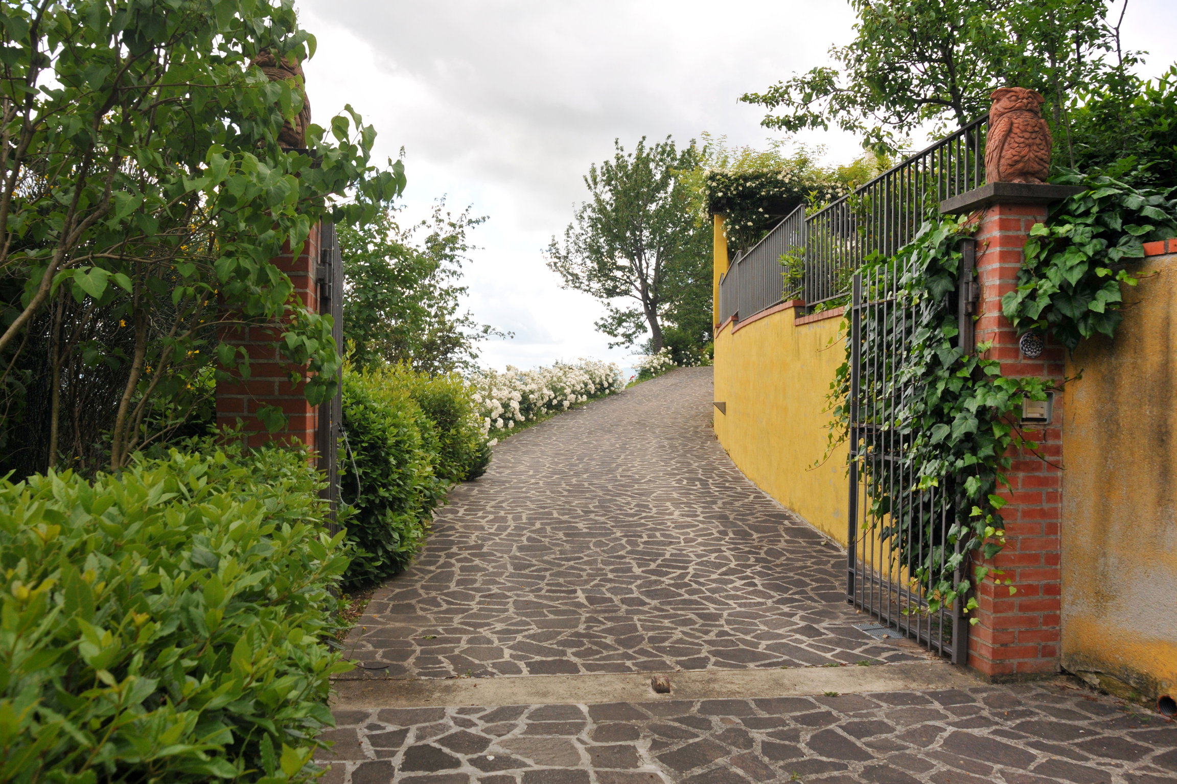- image: 12