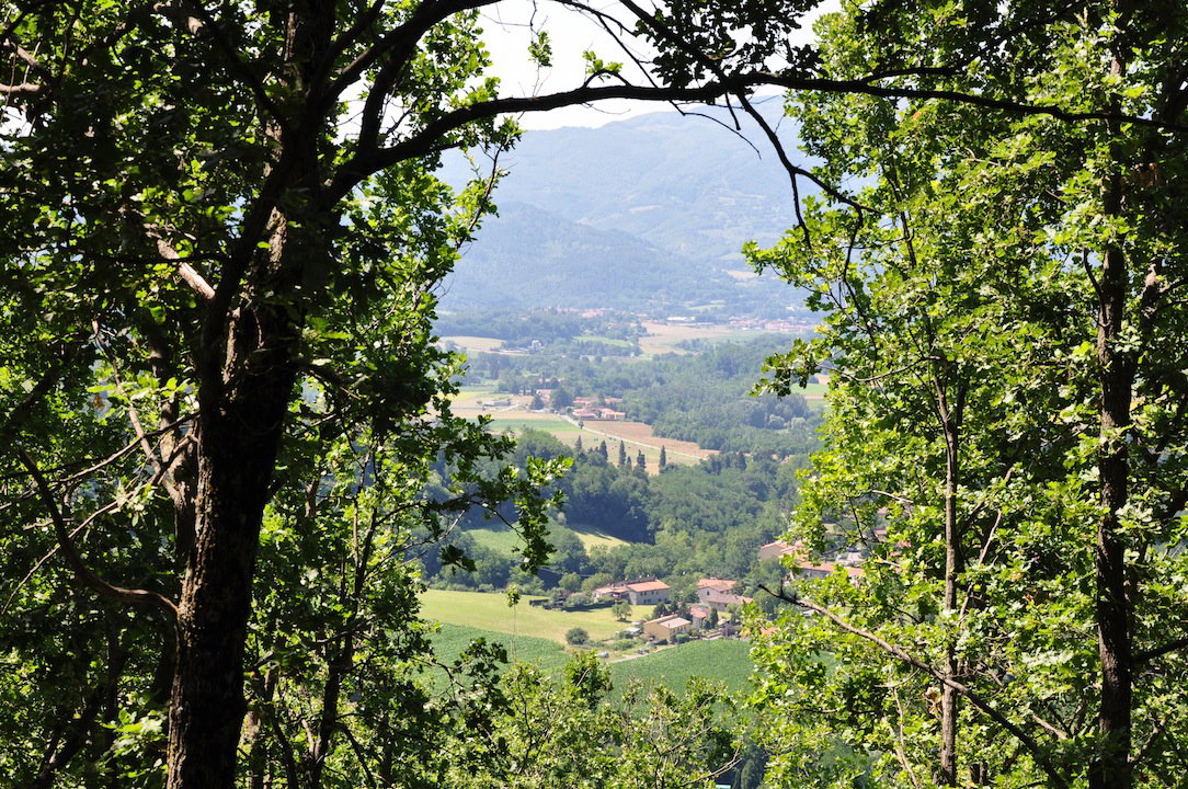 - image: 14