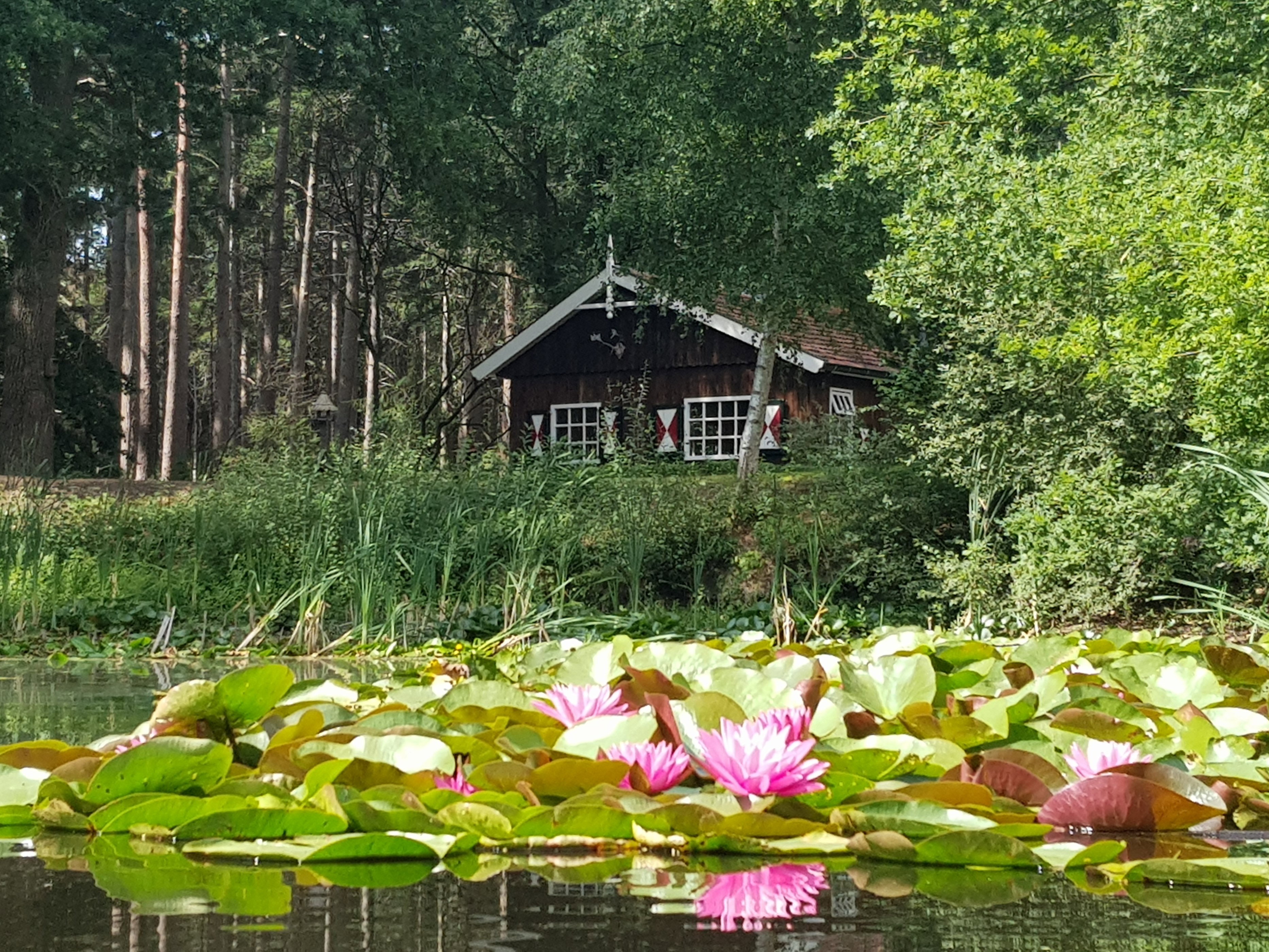Casa nella natura a Hellendoorn
