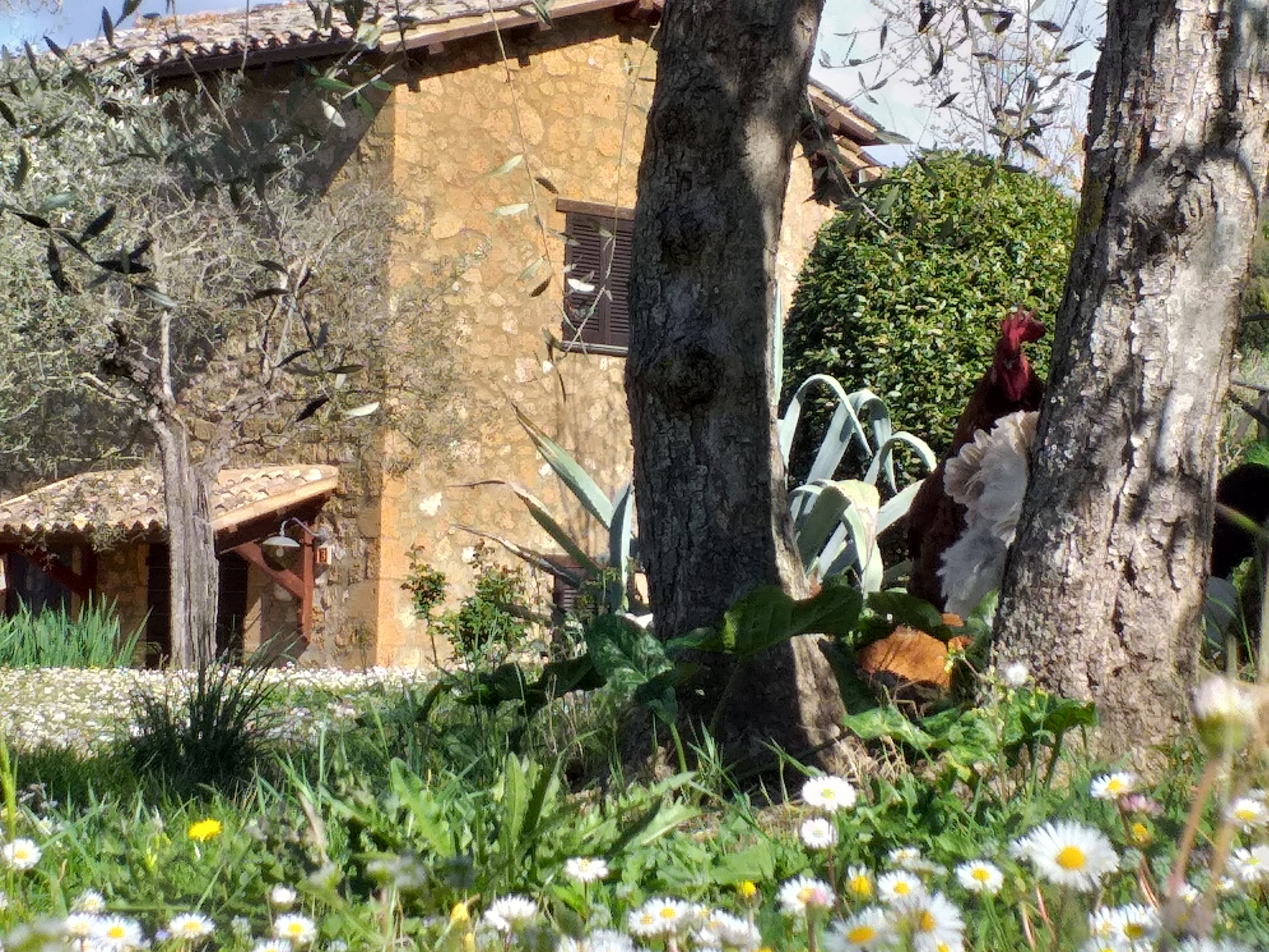 Nature house in Orvieto