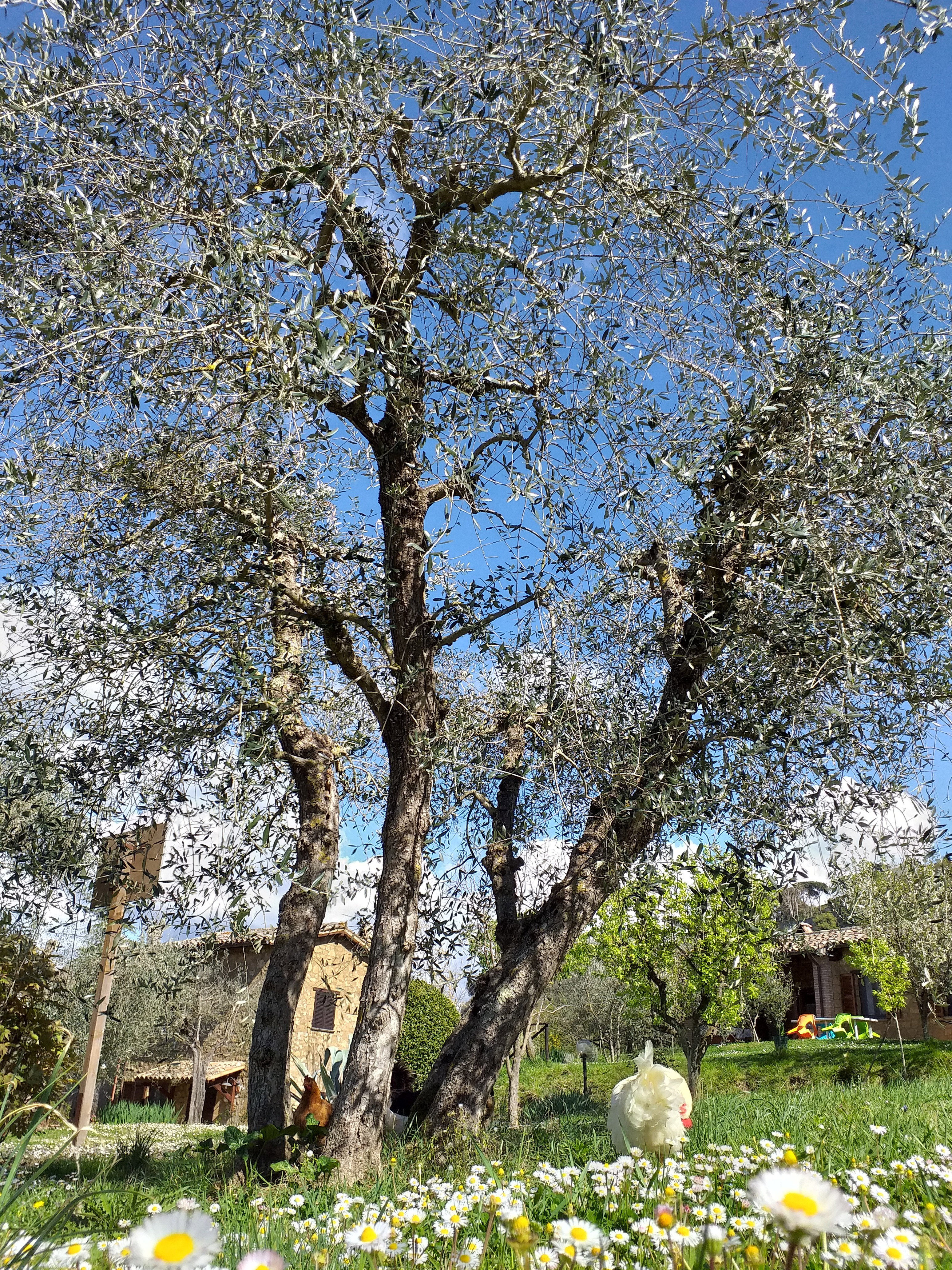 Nature house in Orvieto