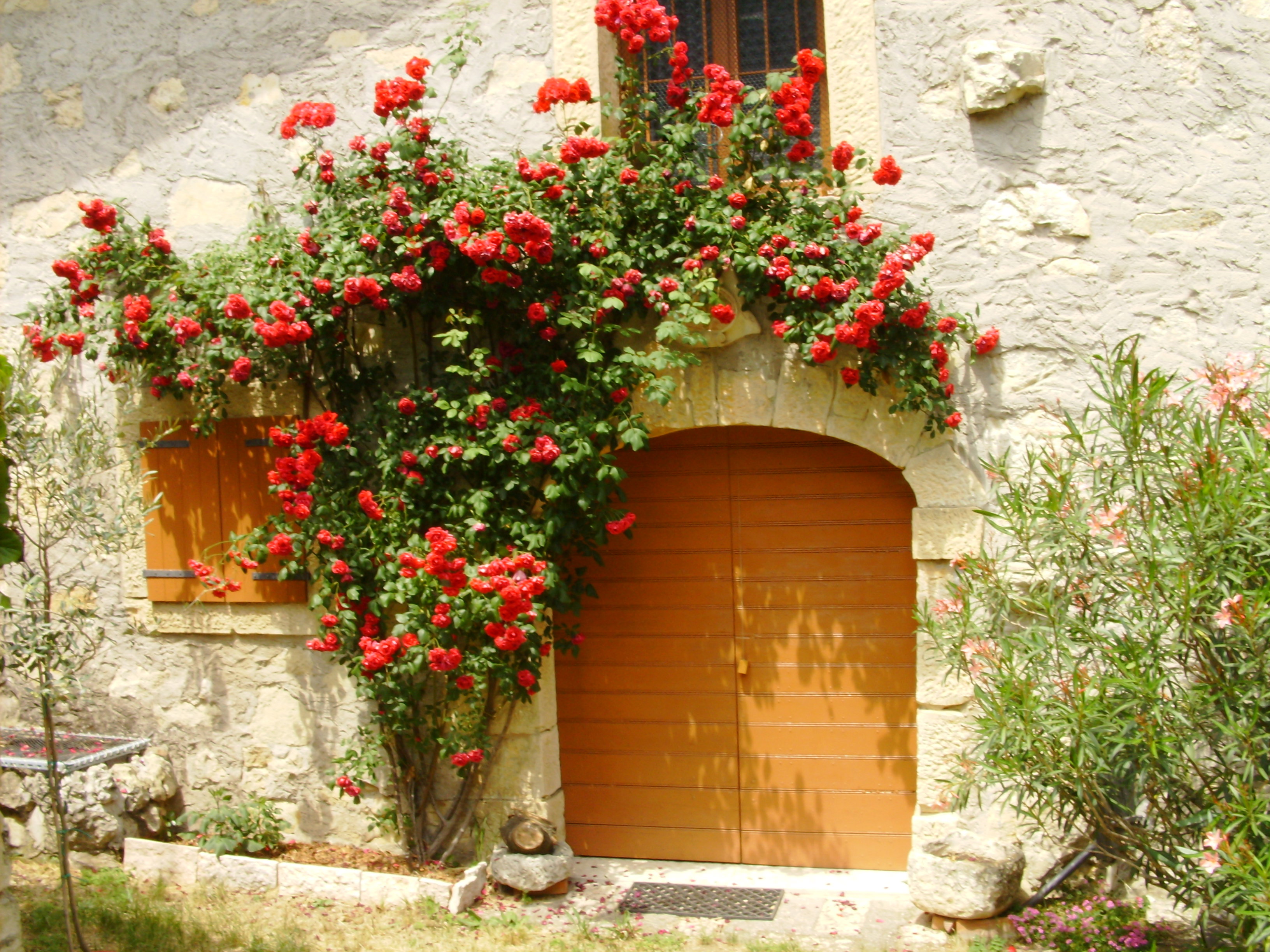 - image: 20