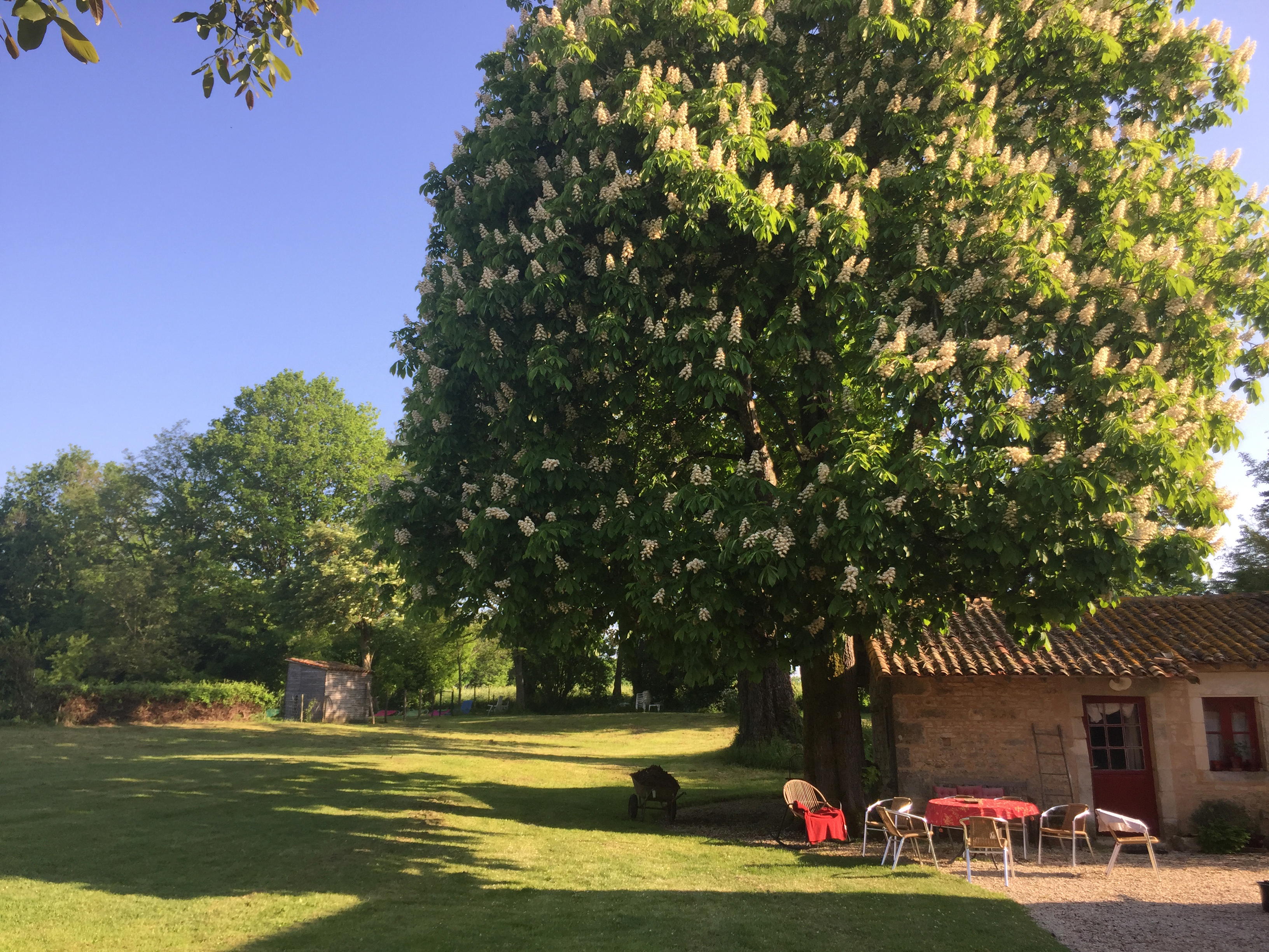 Nature house in Sepvret
