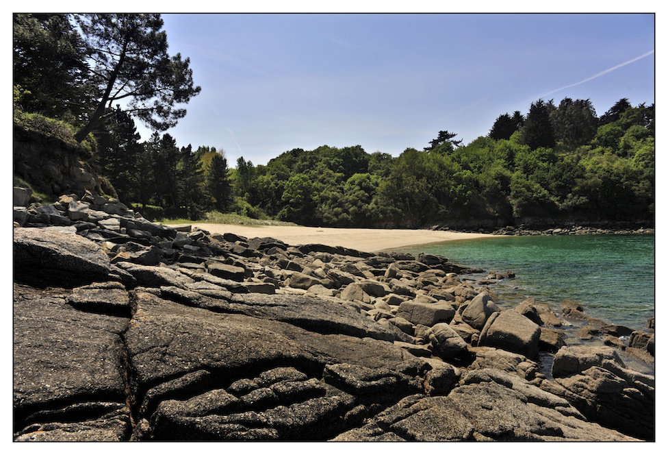 - image: 15