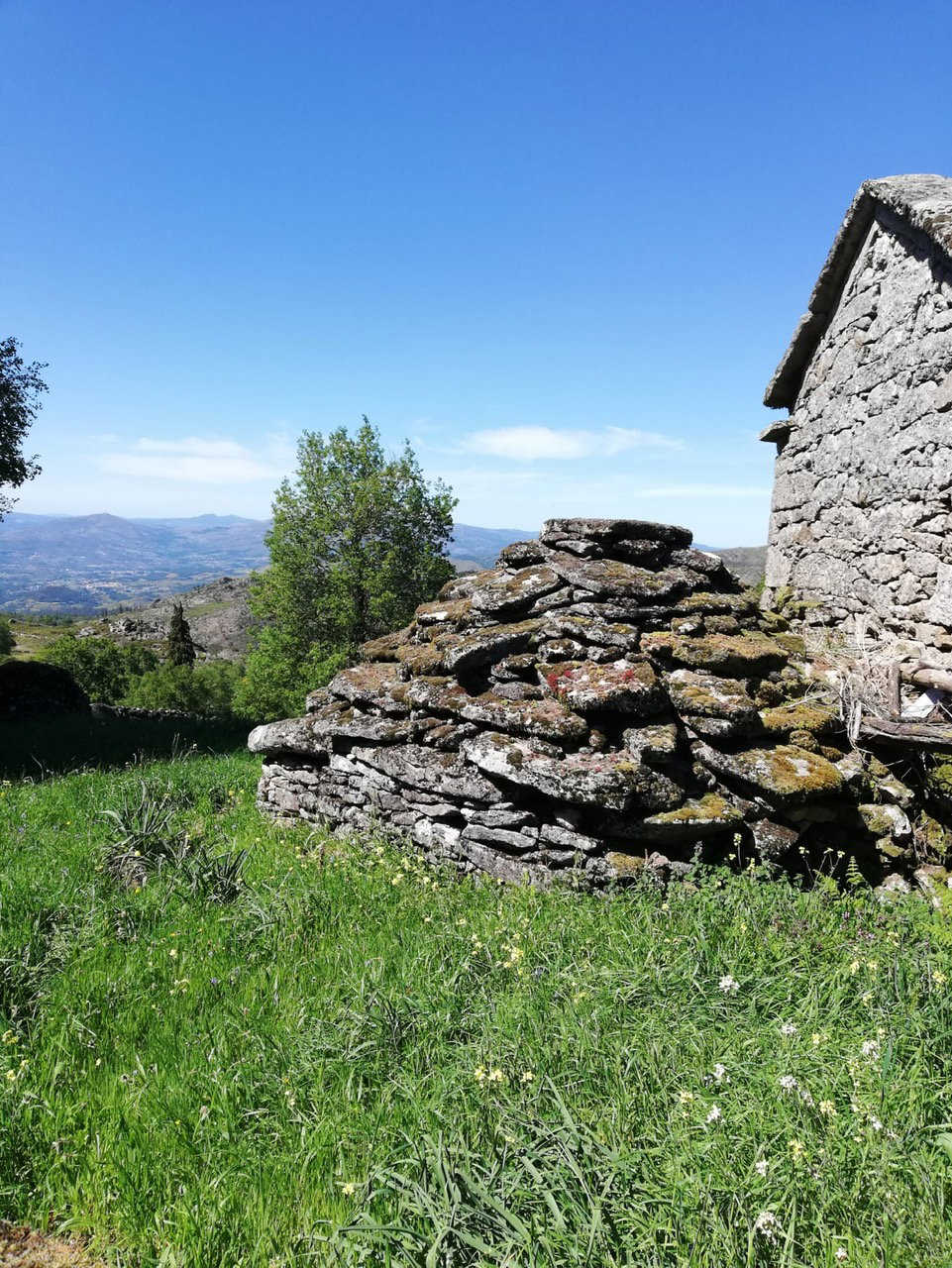 - image: 27