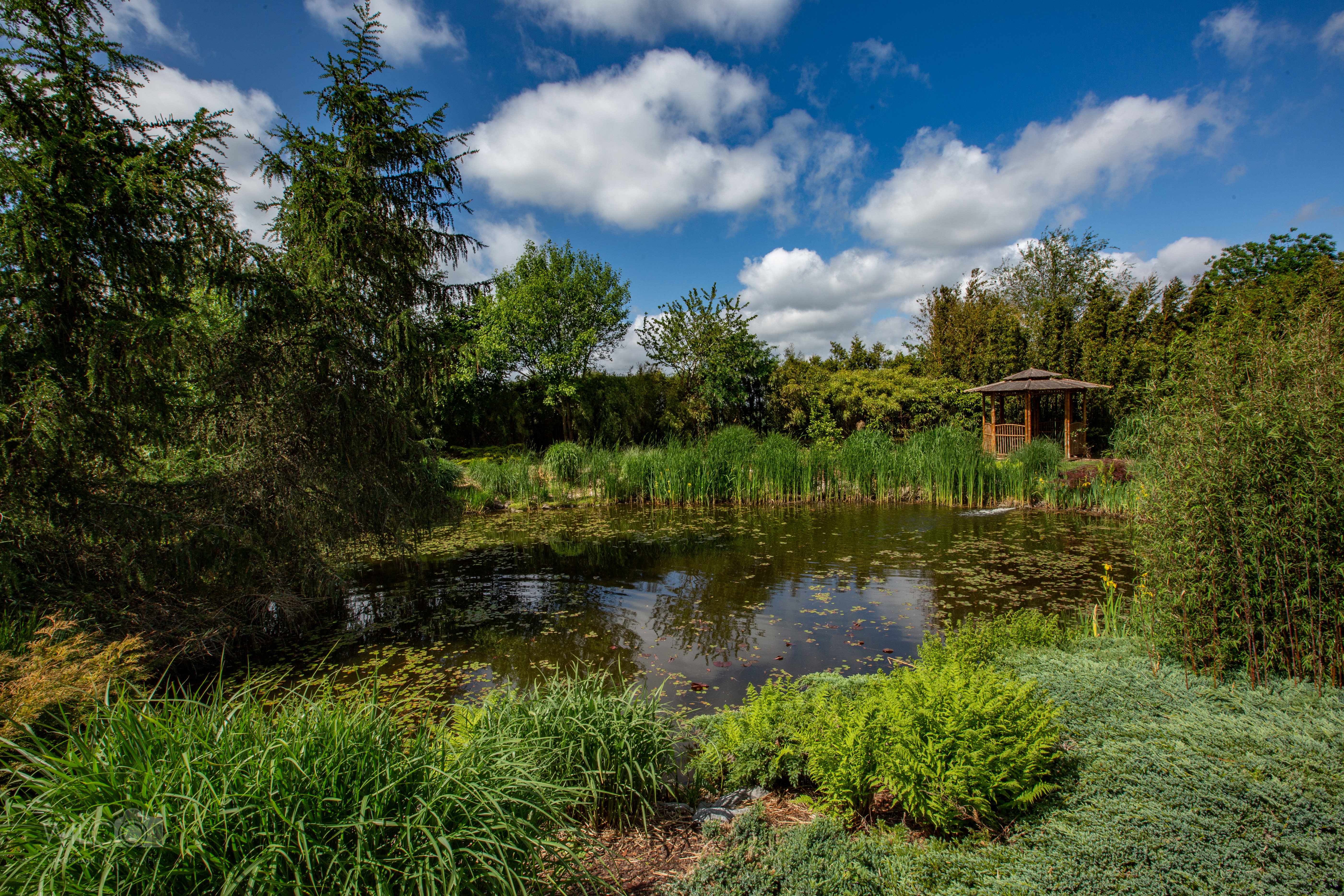 Maison nature à kielwindeweer