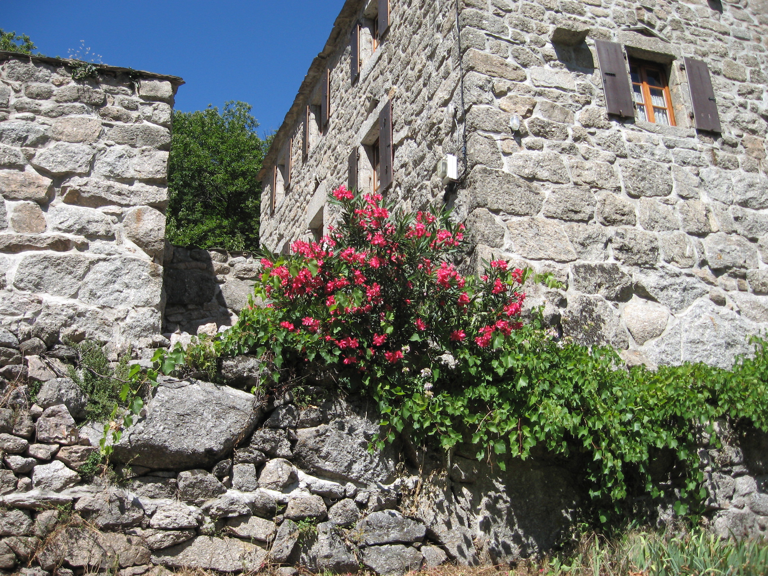 Natuurhuisje in Sablières  ( Le Mas )